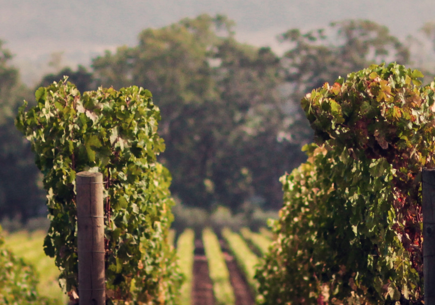 Screen Shot 2026-01-10 at 2.30.46 PM.png