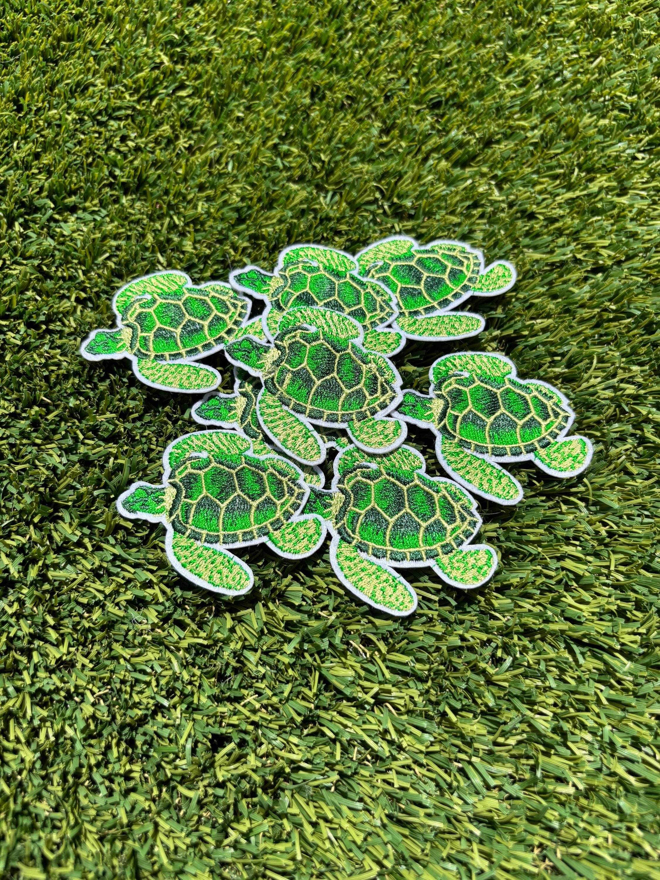 https://i.etsystatic.com/51094261/r/il/bfa084/6842761397/il_fullxfull.6842761397_apta.jpg