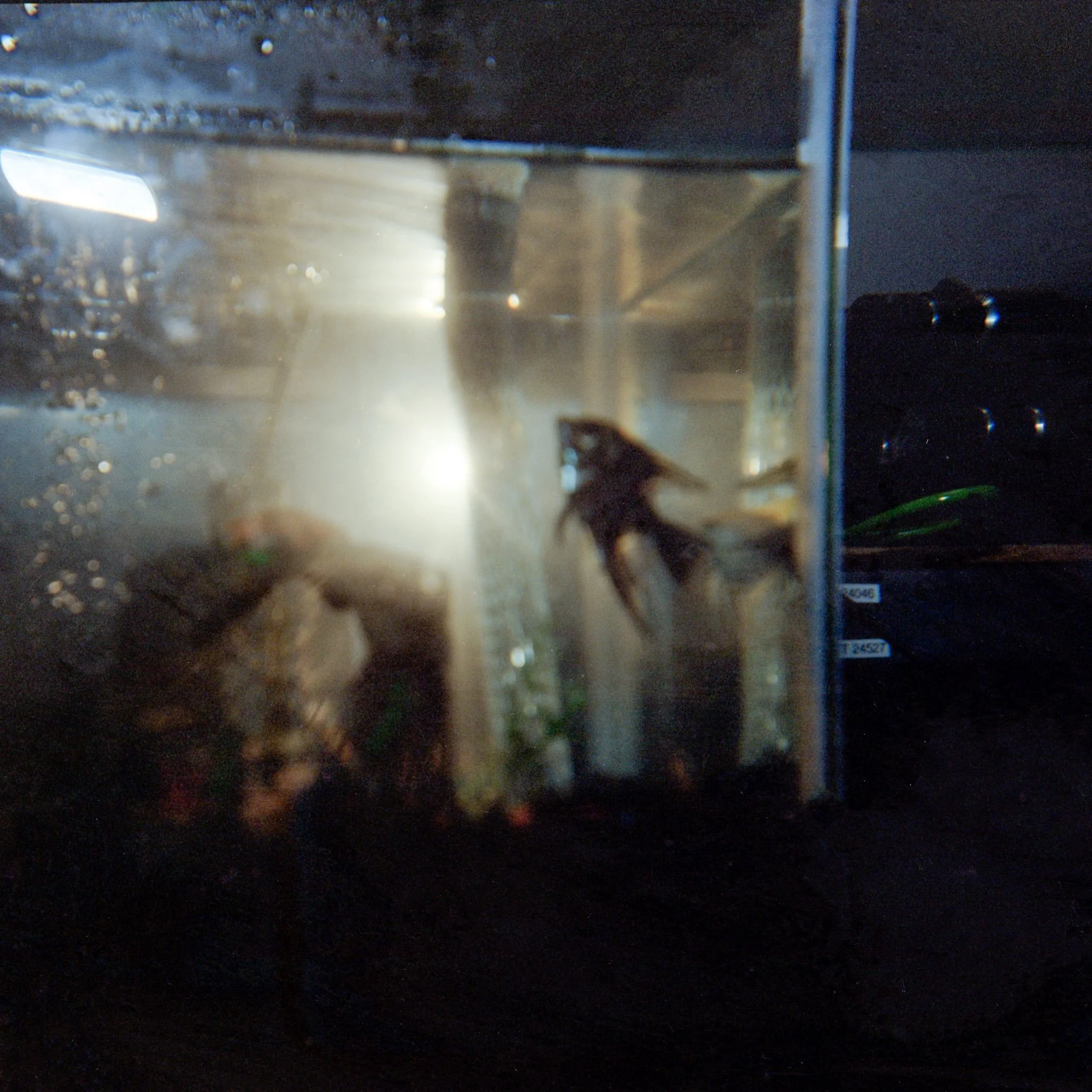 portra_1.jpg