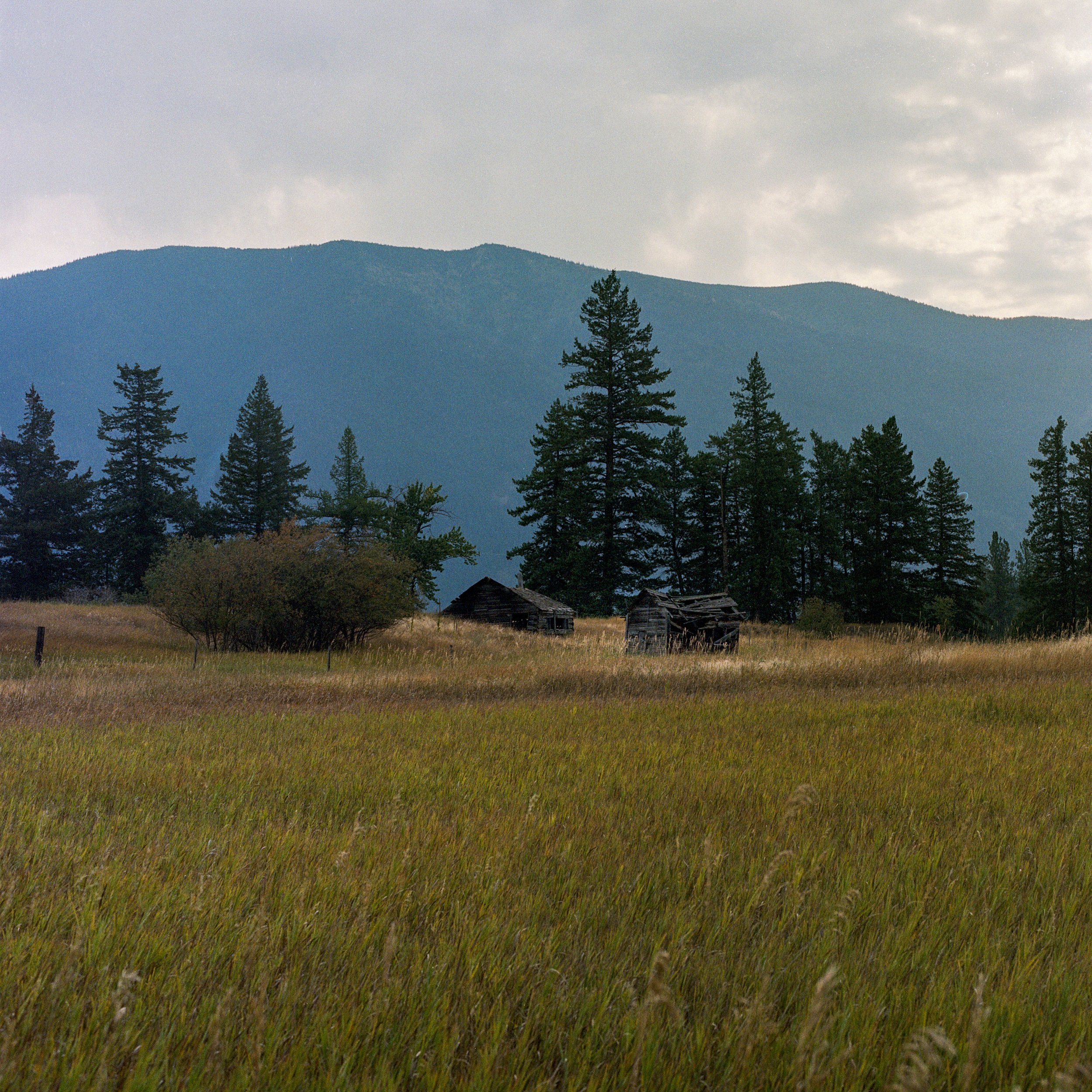 montana mountain square.jpg