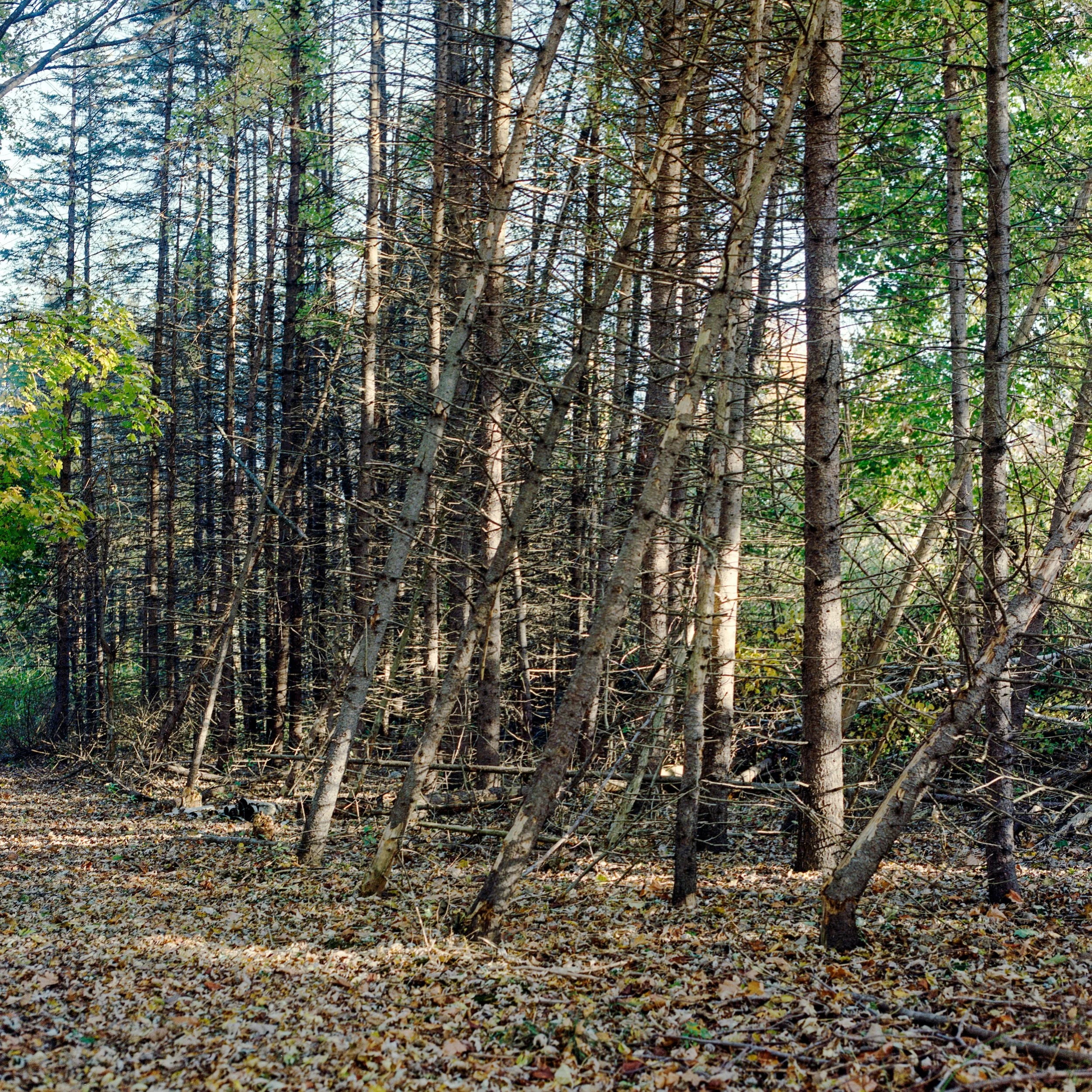 102625_14.jpg