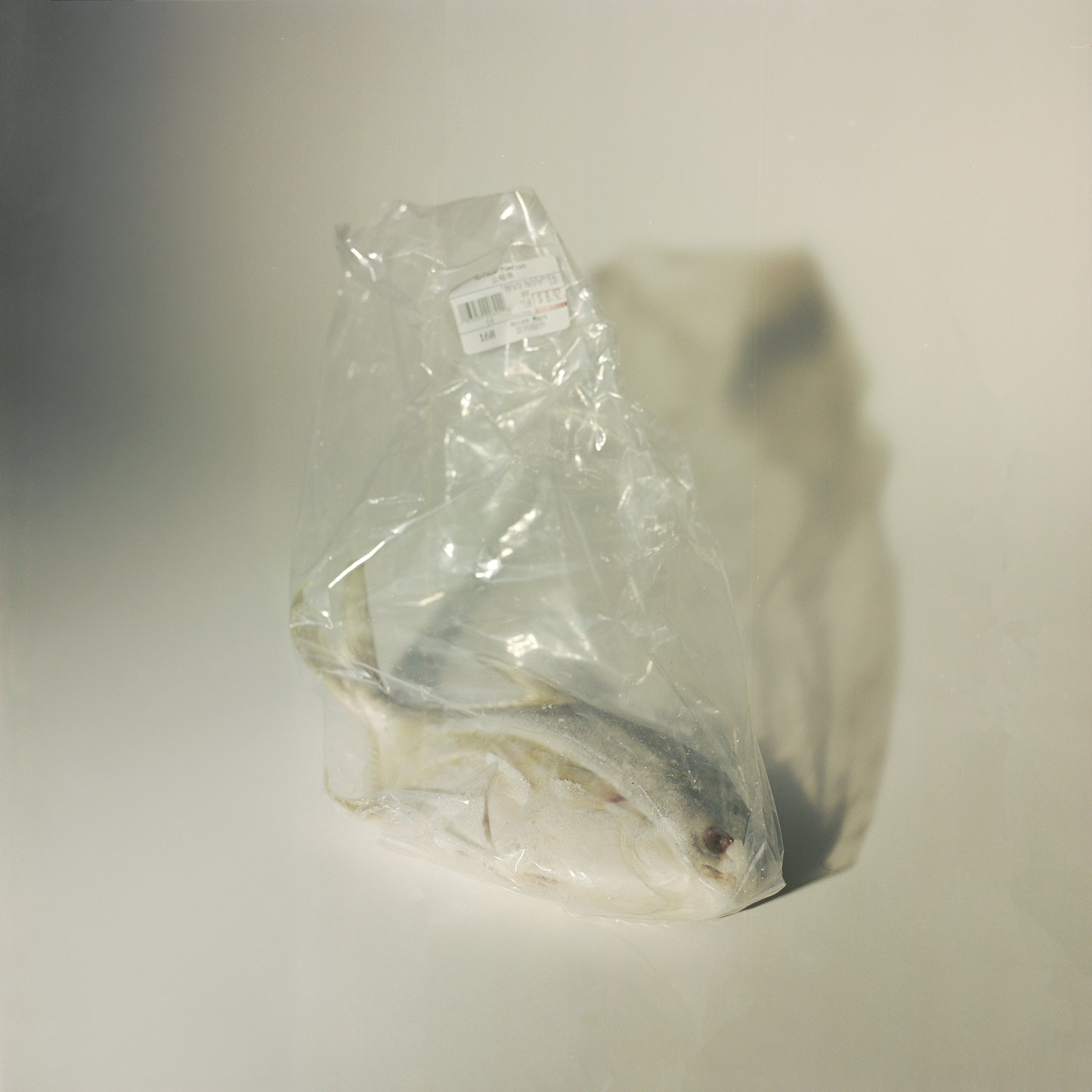 studio april_8.jpg