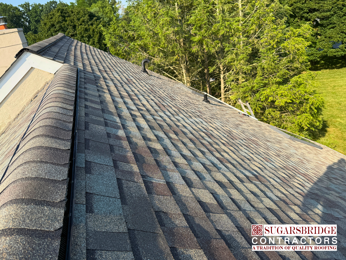 premium-cdx-plywood-roof-decking-repair-04.png