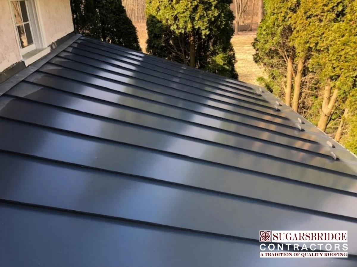 everlast-standing-seam-roof (2).jpg