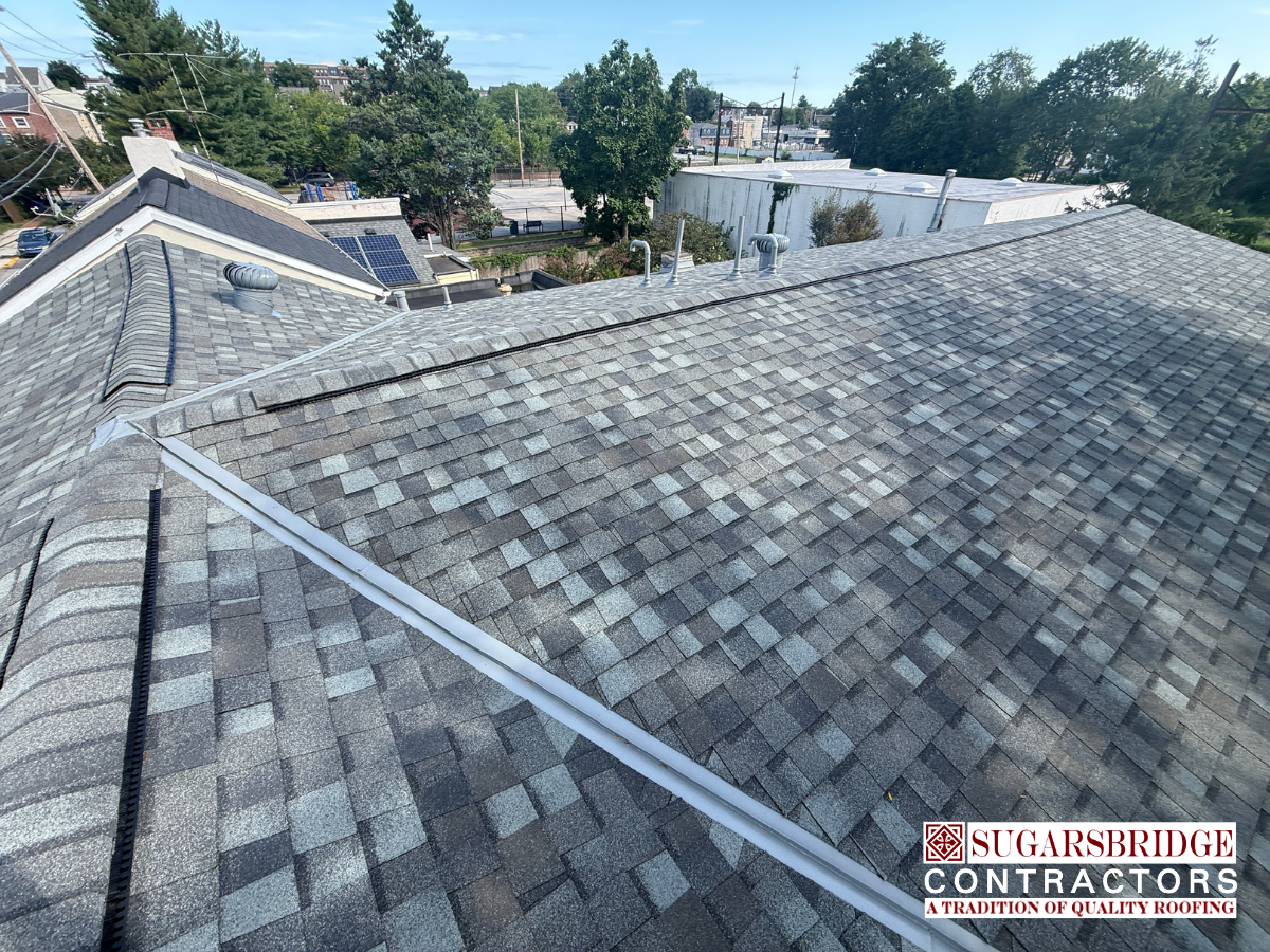 Dunleavy-Roofing-Company.png