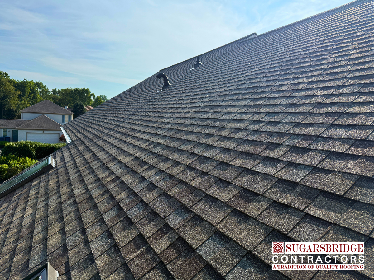 premium-cdx-plywood-roof-decking-repair.png