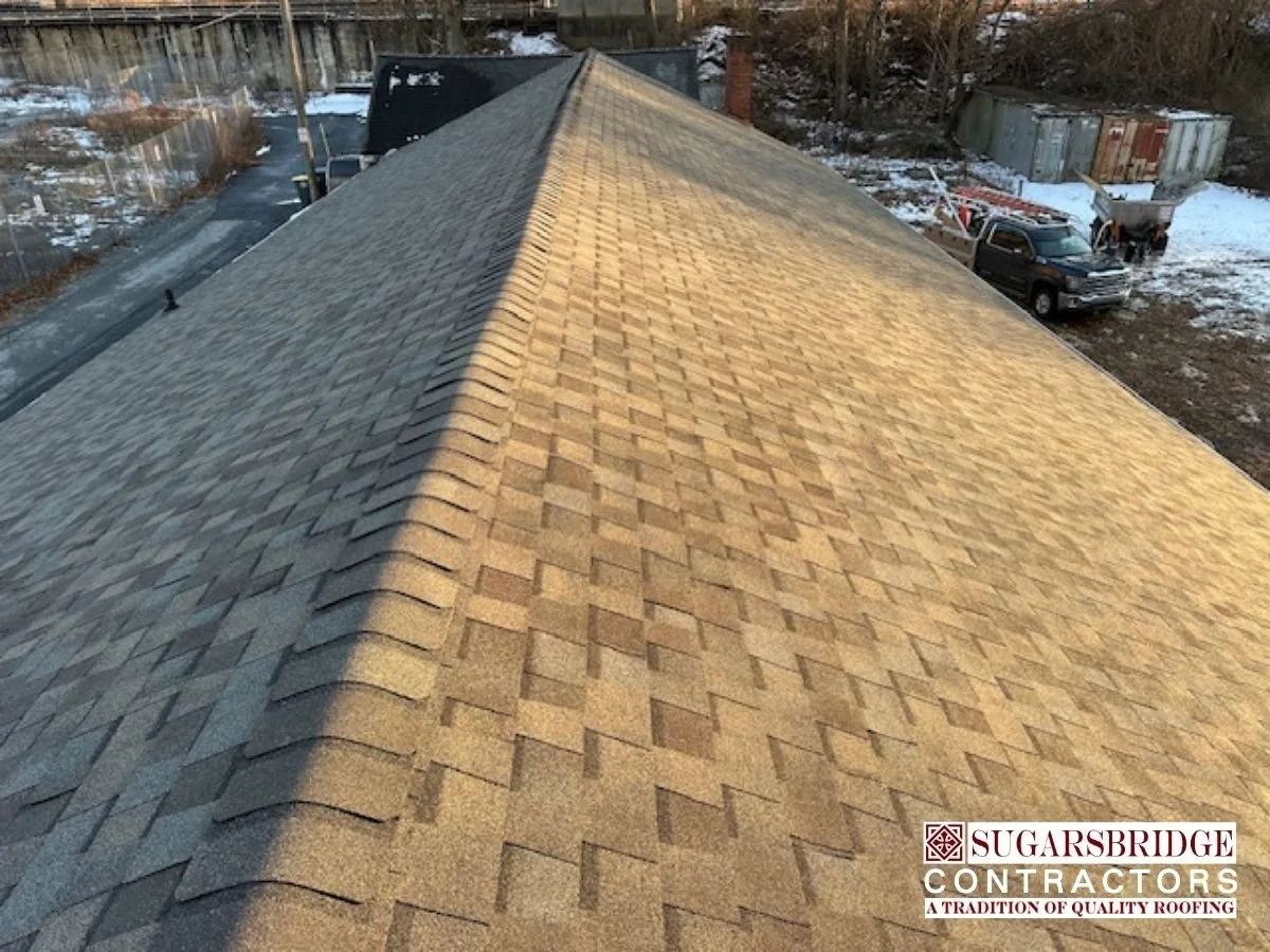 certainteed-pro-architectural-shingles-3.jpg