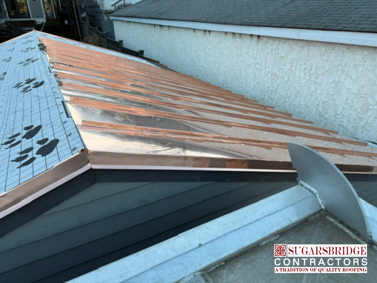 chester_county_standing_seam_roof_01.png