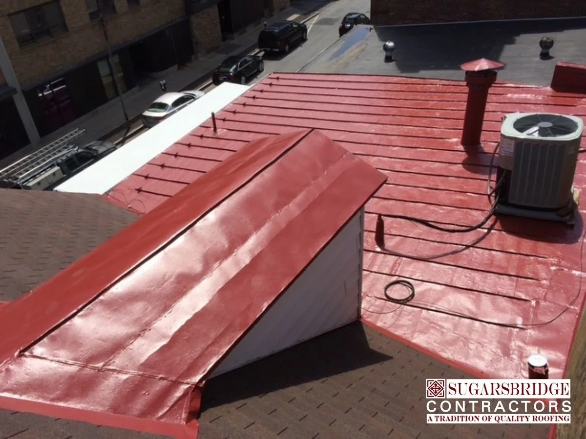 Terne_Roof_Restoration.jpg