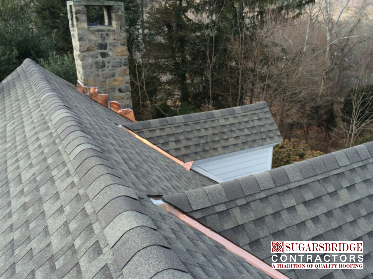 CertainteedPro_Roofing_Shingles.png