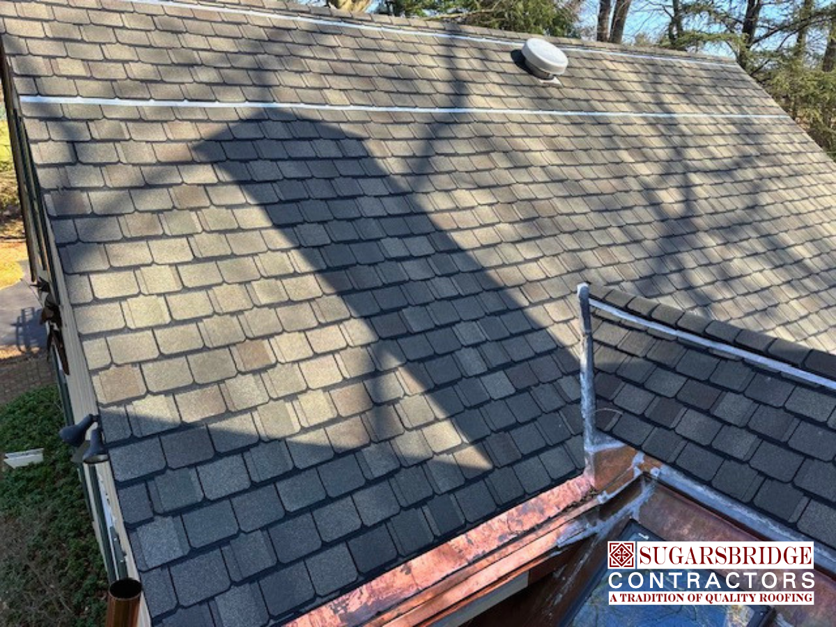 zinc-stripping-roof-ridge-moss-prevention-01.png
