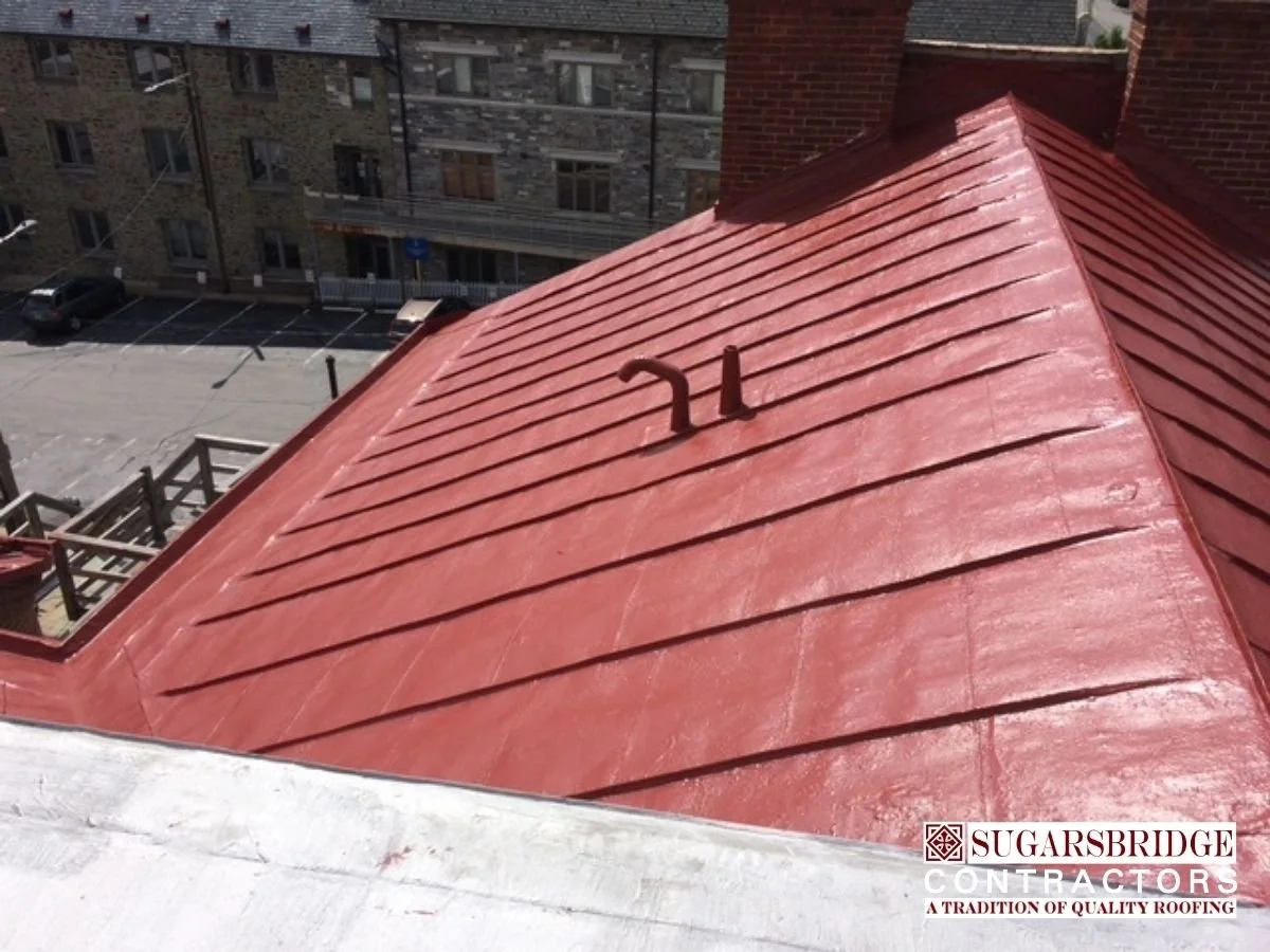 Roof_Preservation_Chester_County_PA.jpg