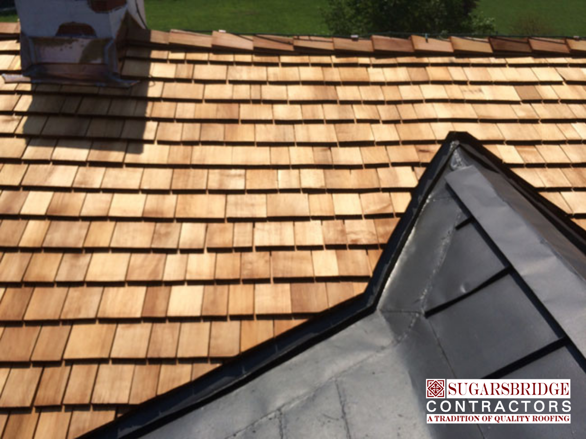 Cedar_Tapersawn_Historic_Roof_03.png