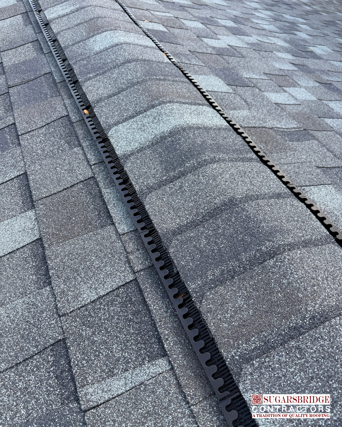 Certainteed-Pro-Asphalt-Shingles.png