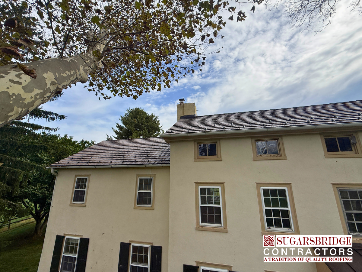 Chester_County_Historic_Restoration_03.png