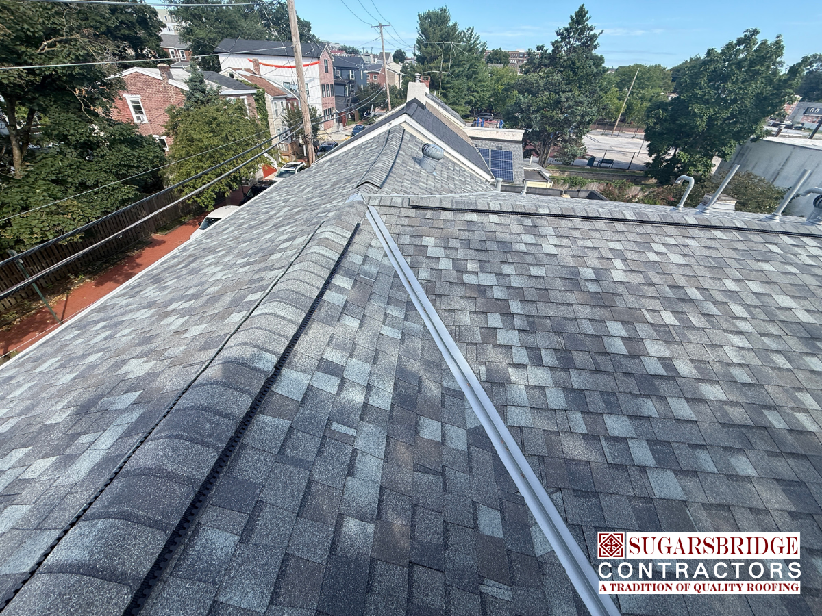 Certainteed-Pro-Architectural-Shingles.png