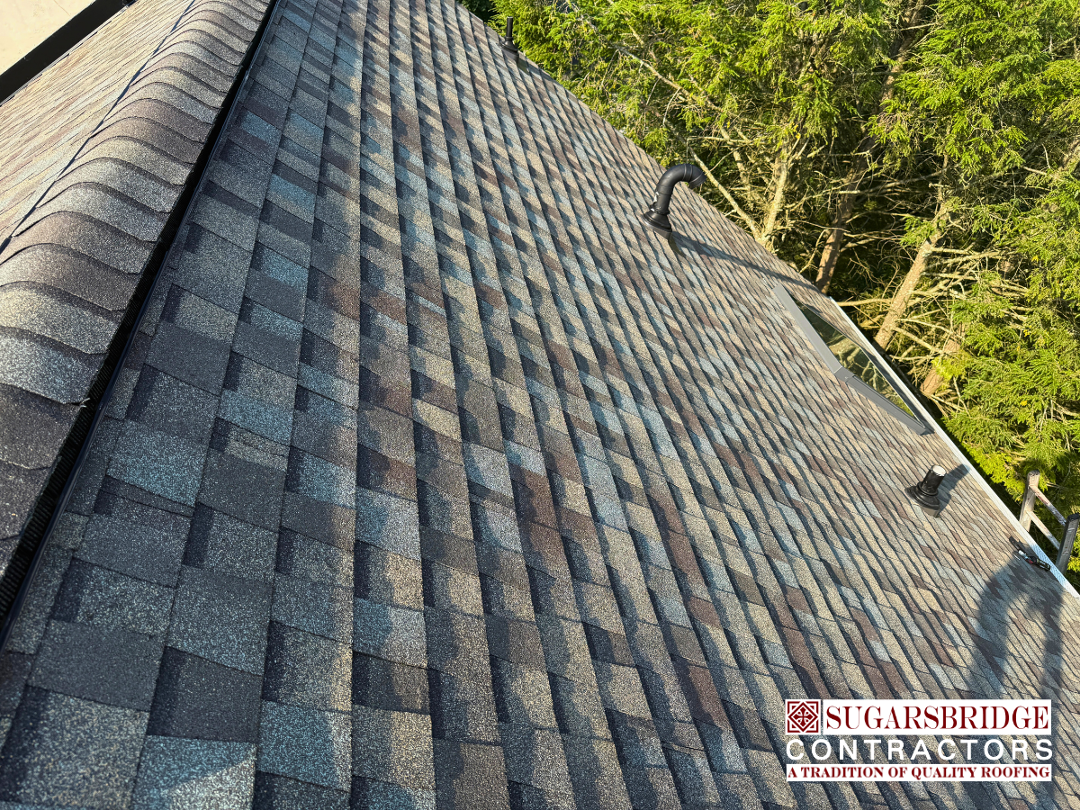premium-cdx-plywood-roof-decking-repair-01.png