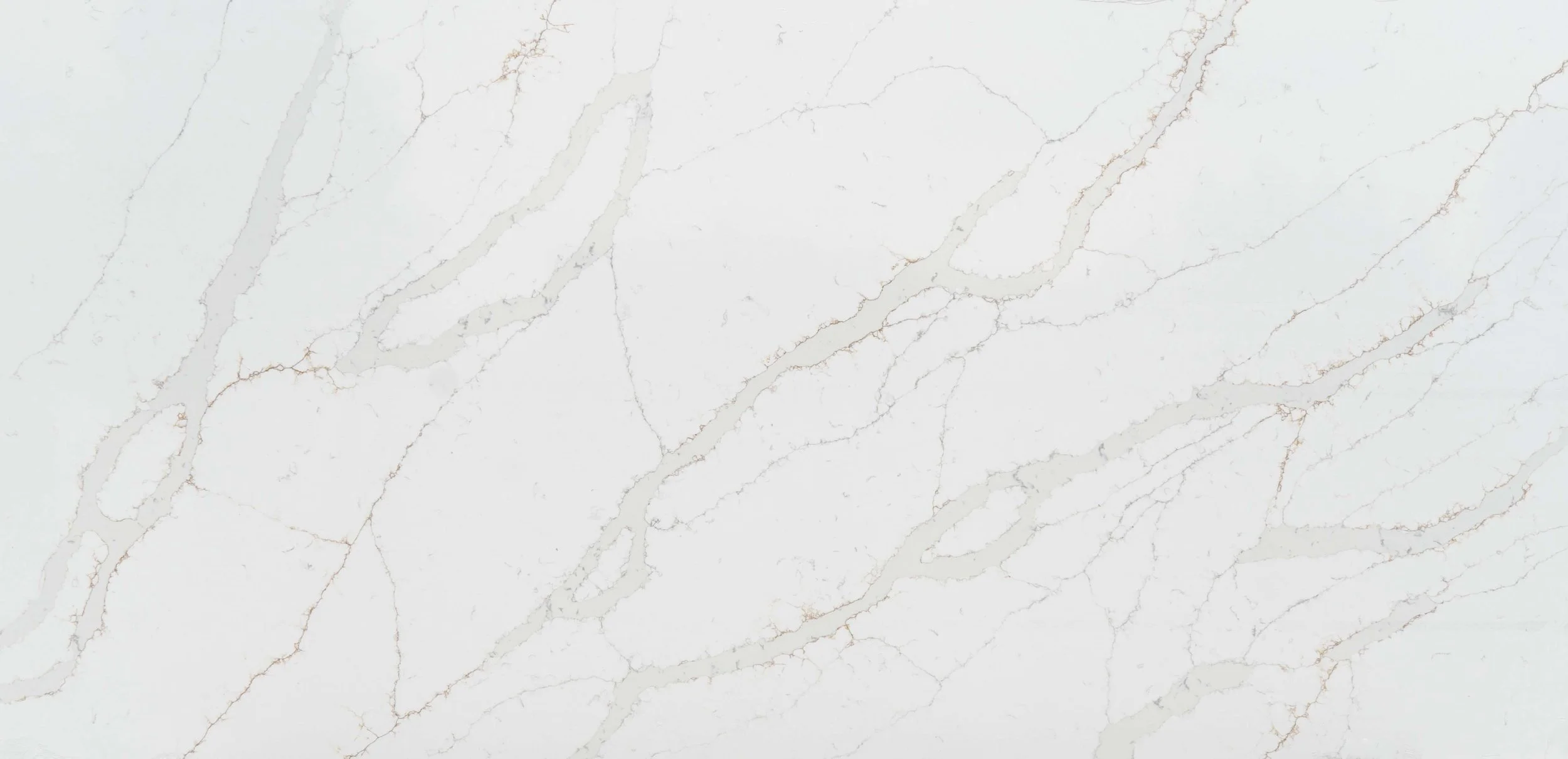 CALACATTA DOLCE .jpg