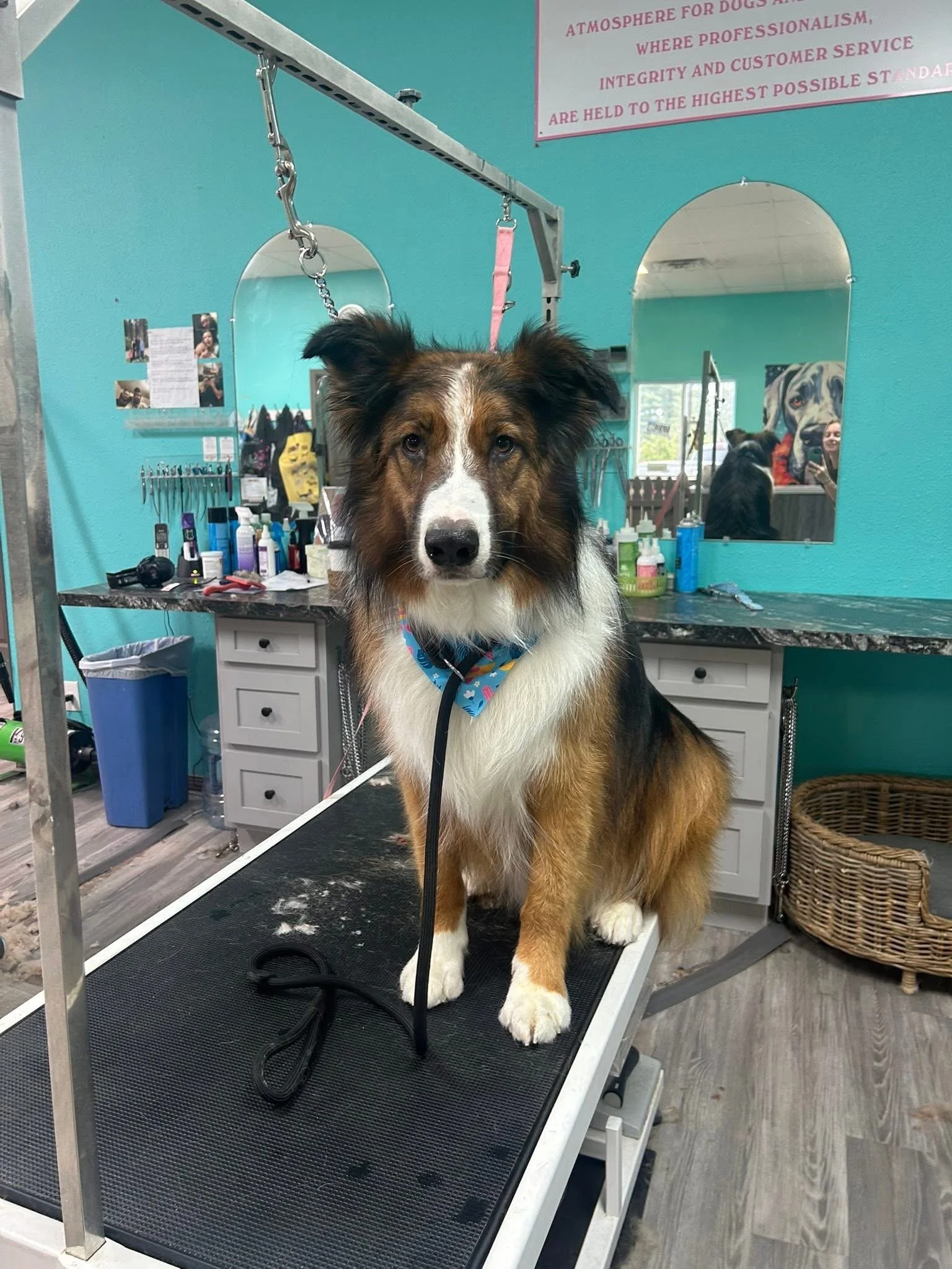 IMG_9693.JPG