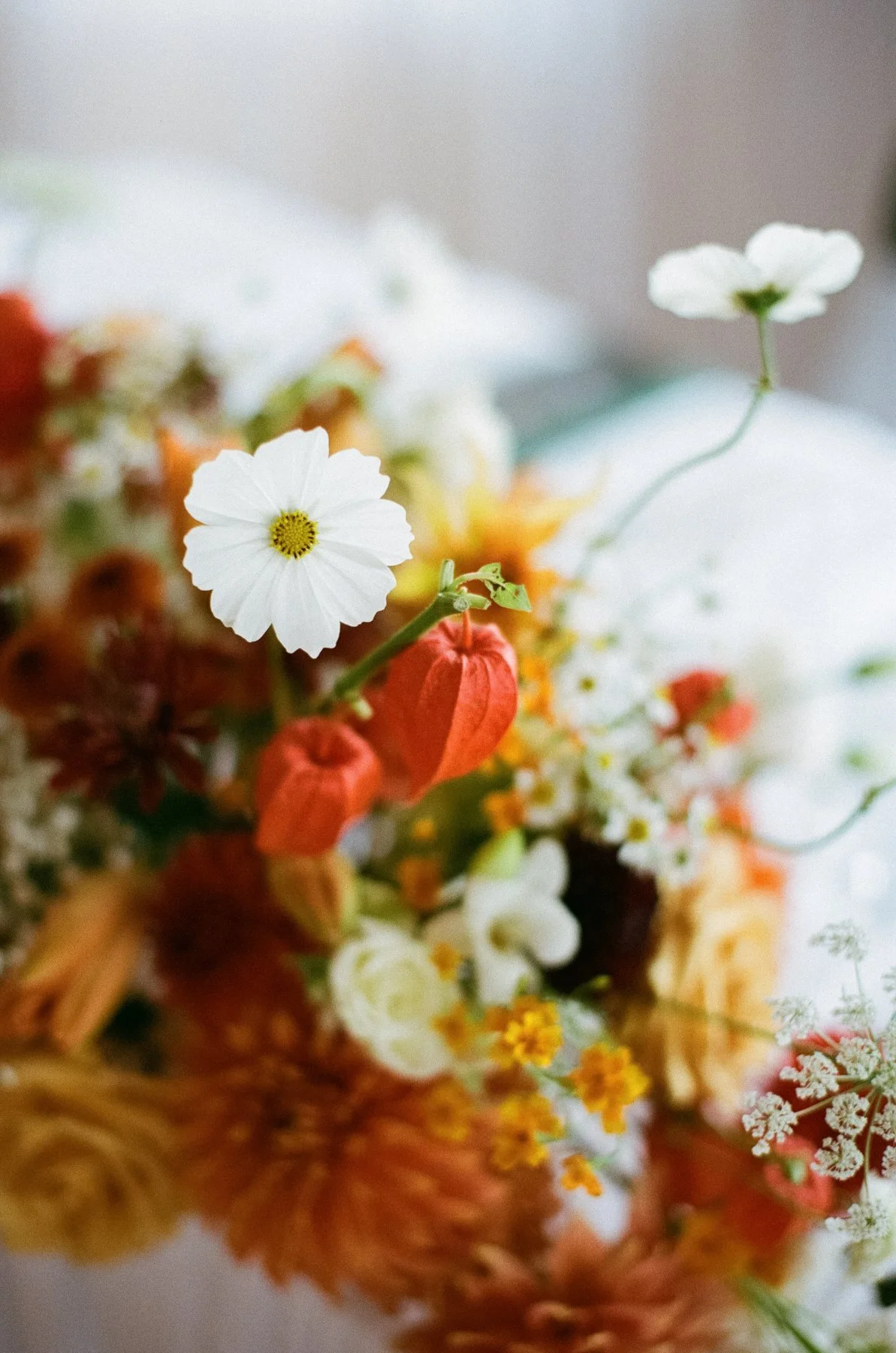 britannia-yacht-club-wedding-mn-0181.jpg