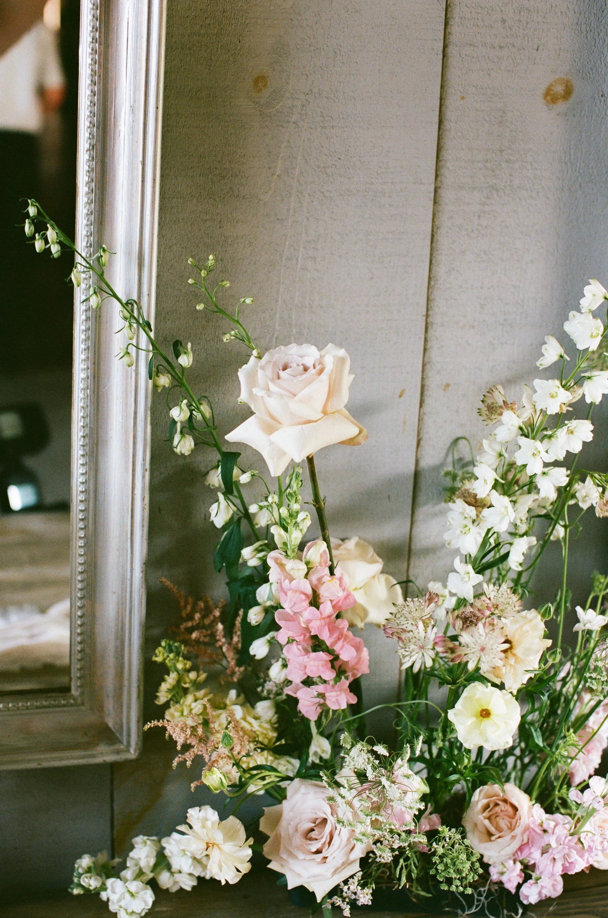 Ottawa-film-photographer-tracy-grace-0038.jpg