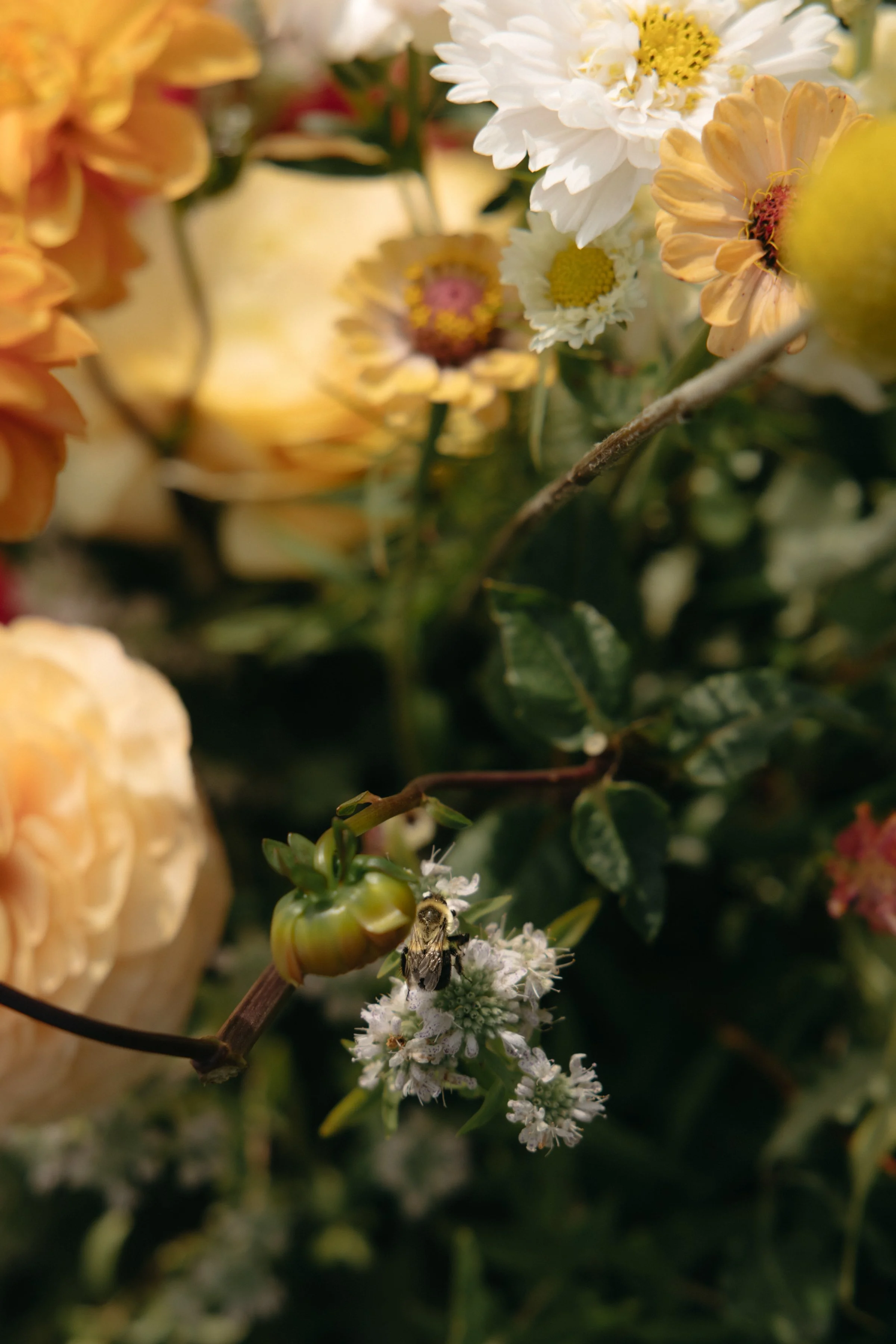 evermore-wedding-photography-0060.jpg