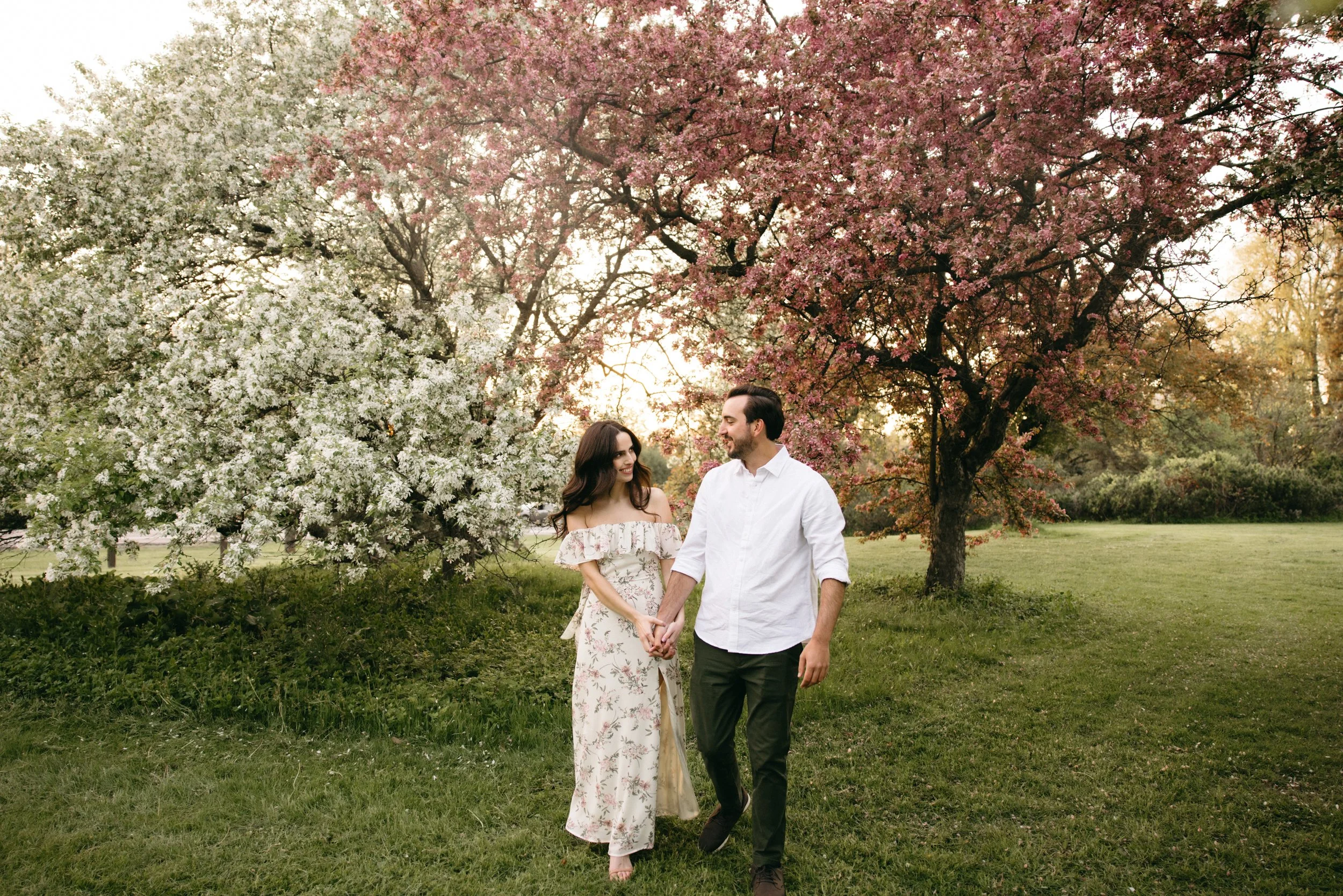 ottawa-blossom-engagement-session-0073.jpg