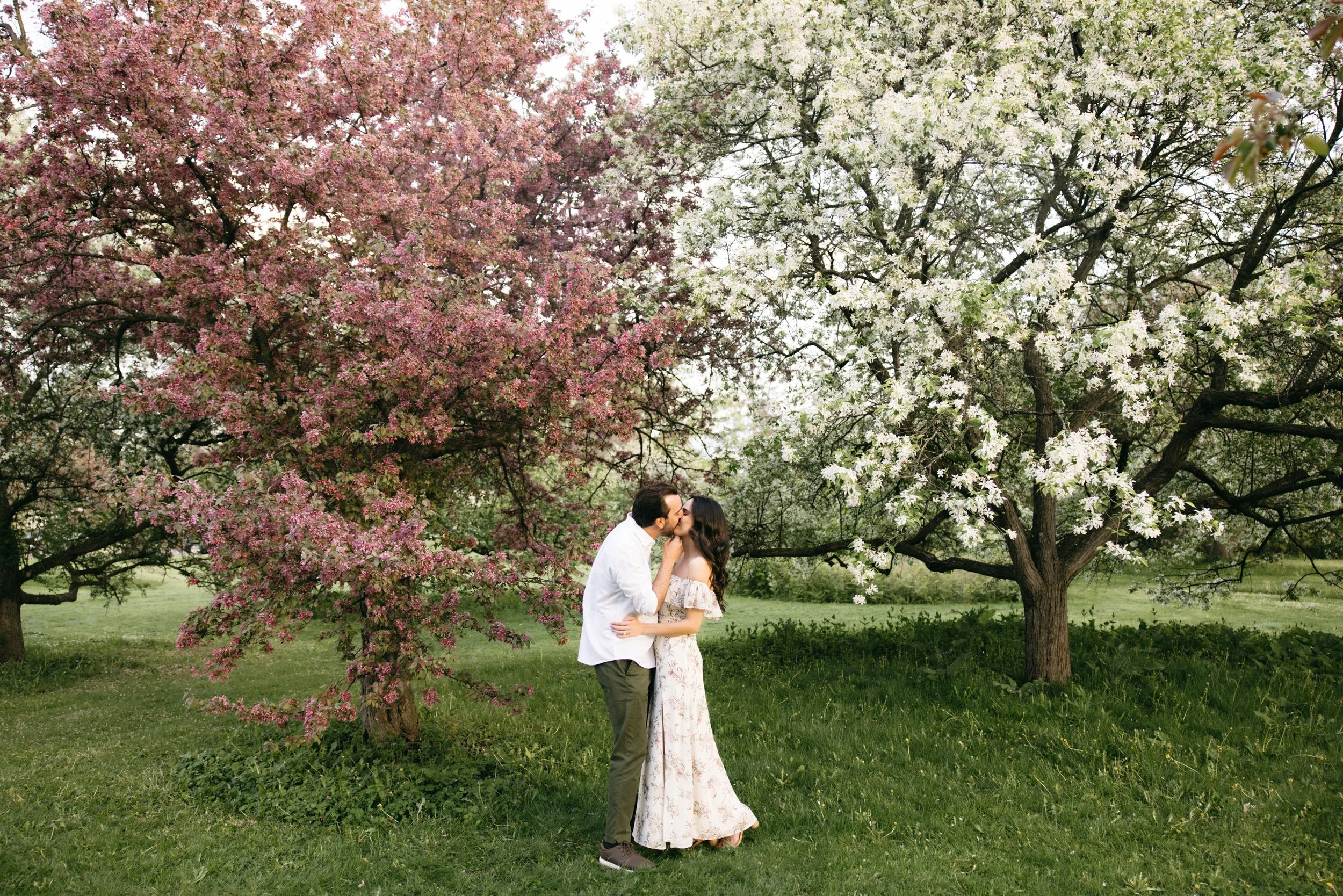 ottawa-blossom-engagement-session-0017.jpg