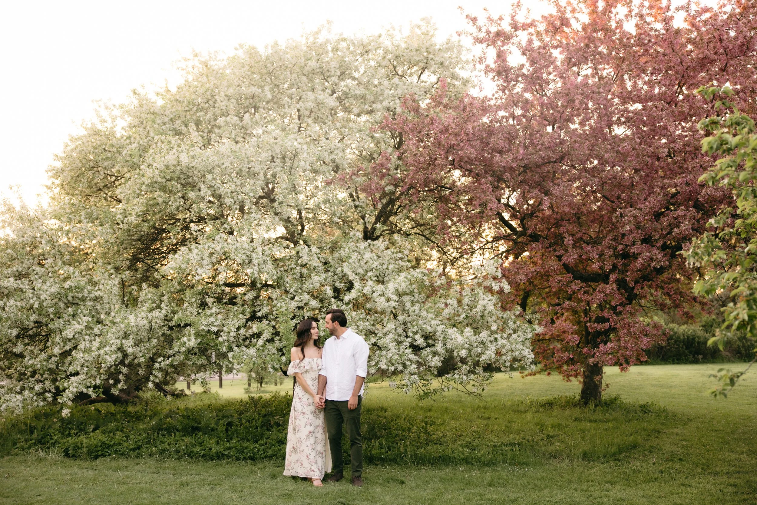 ottawa-blossom-engagement-session-0081.jpg