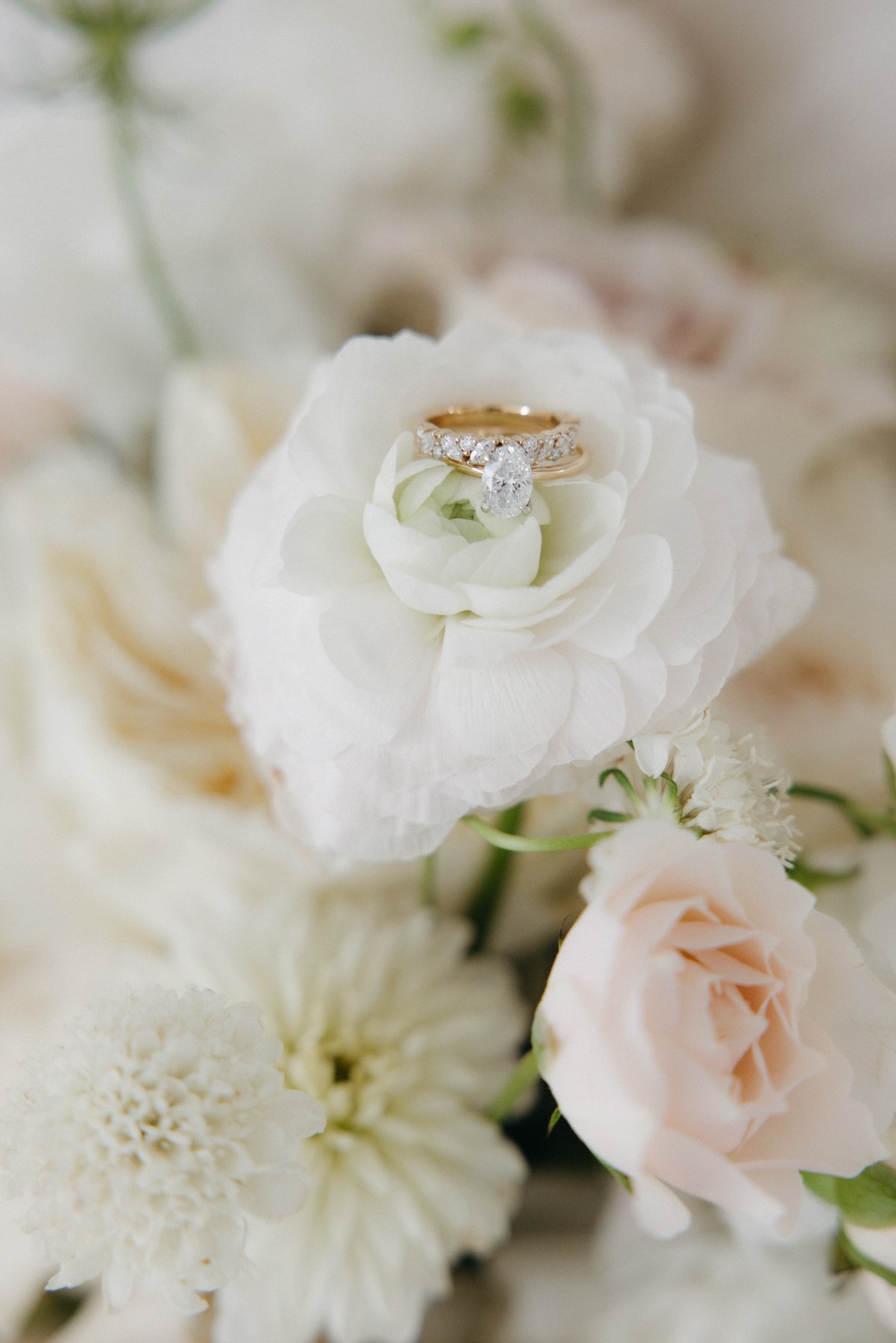 Stonefields-estate-wedding-0004.jpg