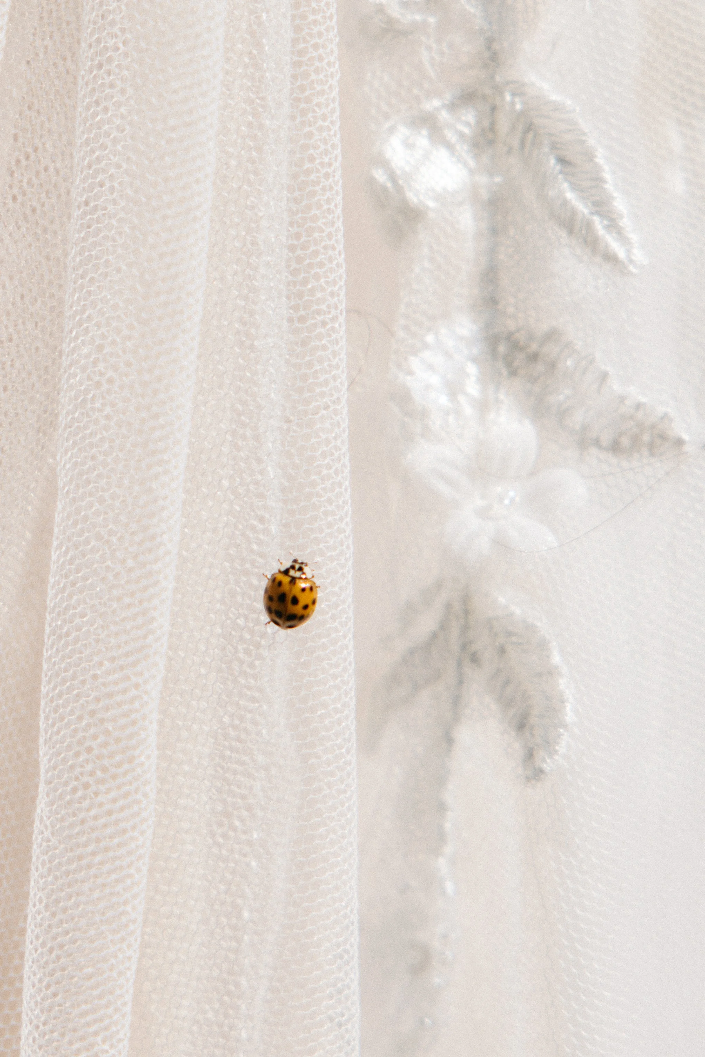 evermore-wedding-photography-0042.jpg