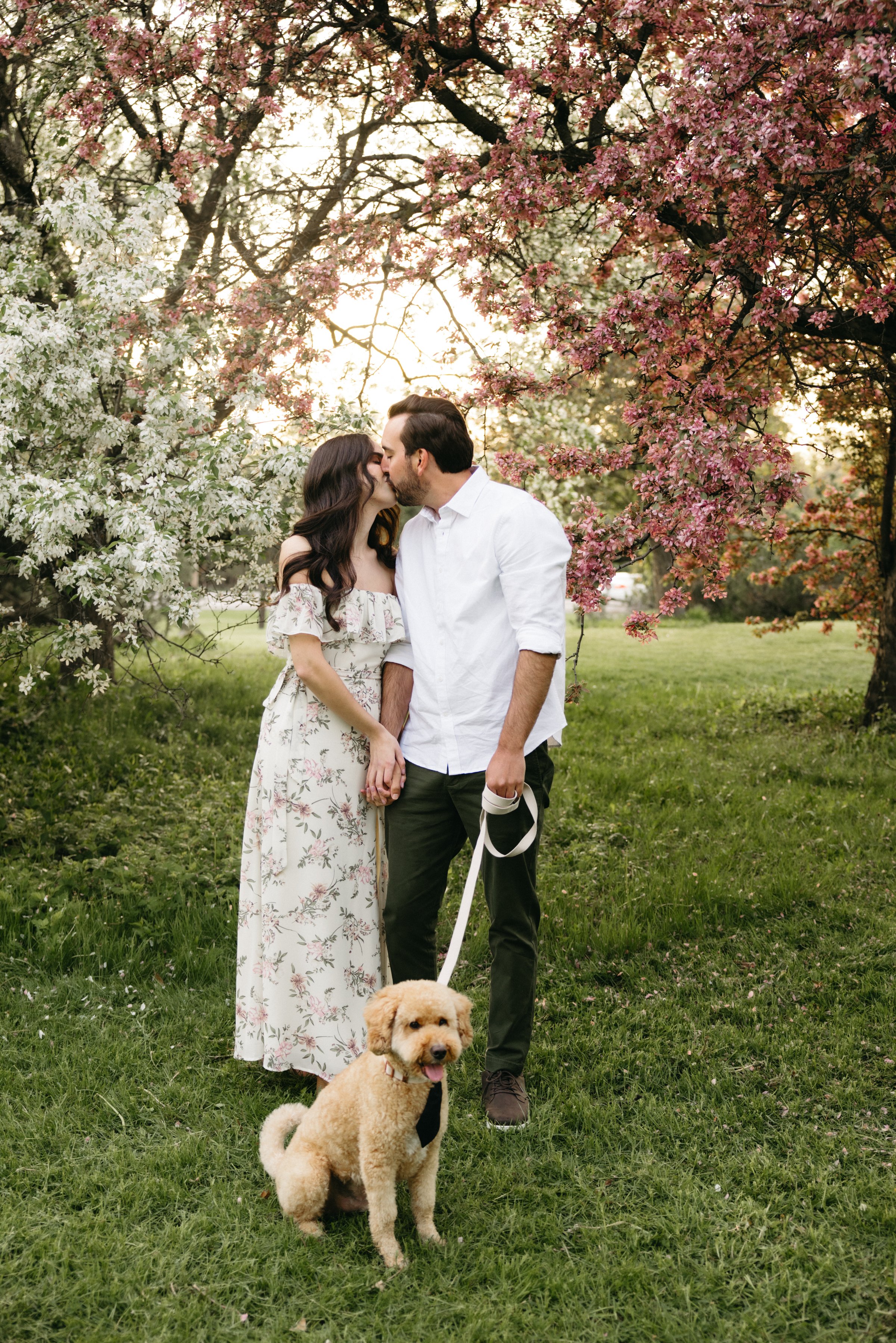 ottawa-blossom-engagement-session-0065.jpg