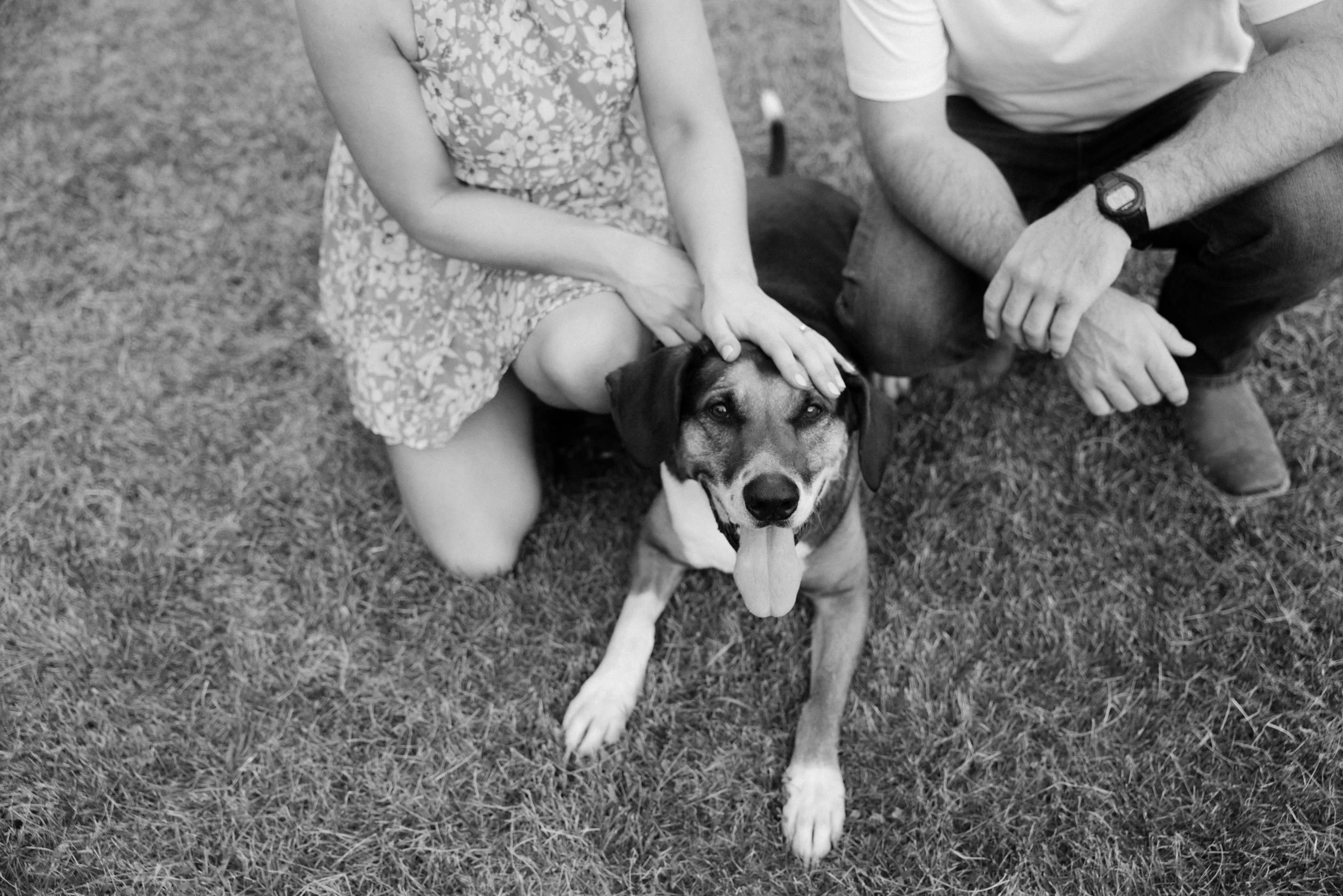 Ottawa-engagement-photographer-tracy-grace-0161.jpg