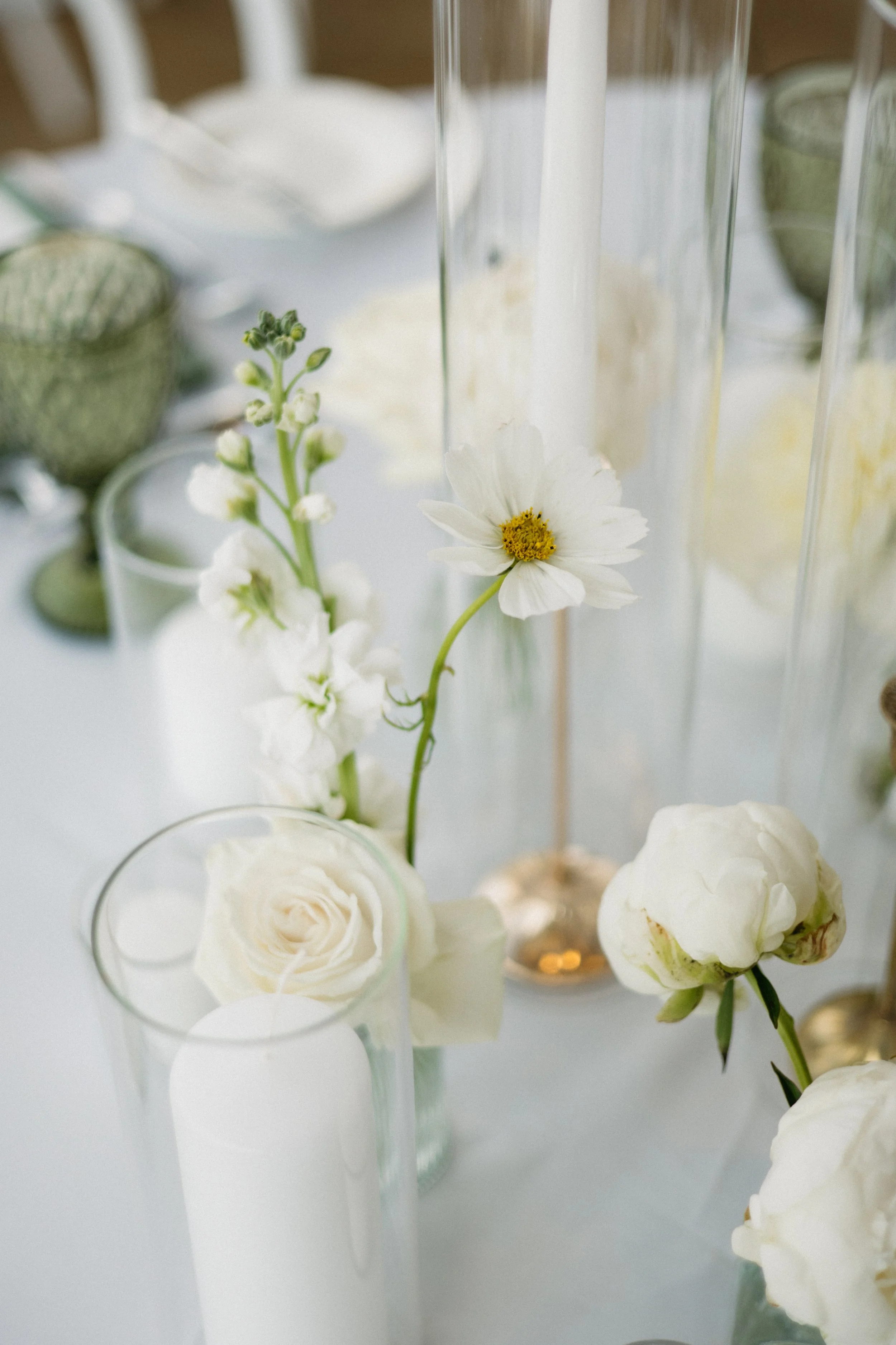 GraceAndGold-YR-WED-1075.jpg