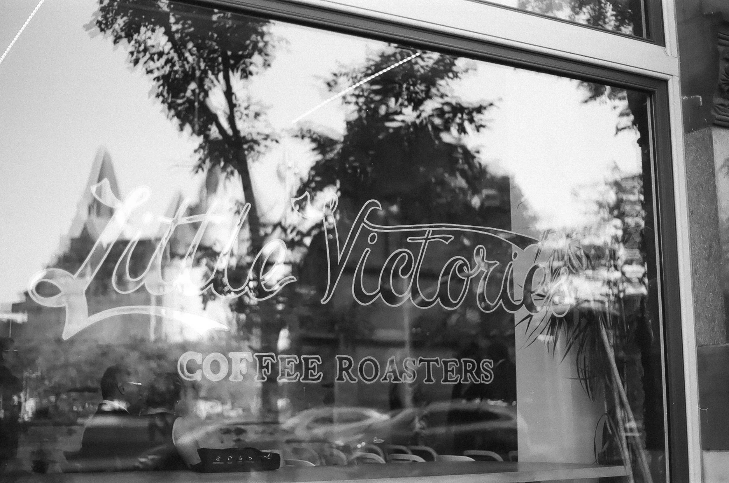 Ottawa-film-photographer-tracy-grace-0137.jpg