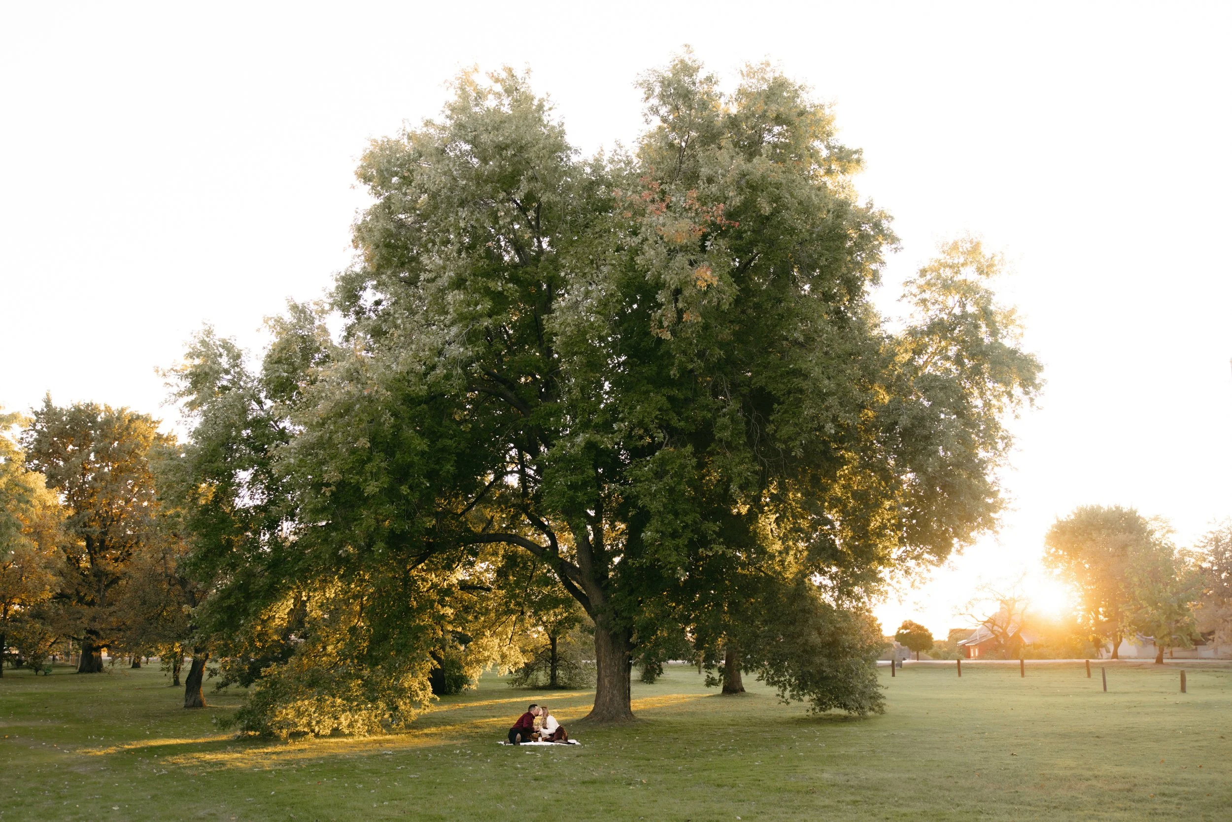 Ottawa-engagement-photographer-tracy-grace-0008.jpg