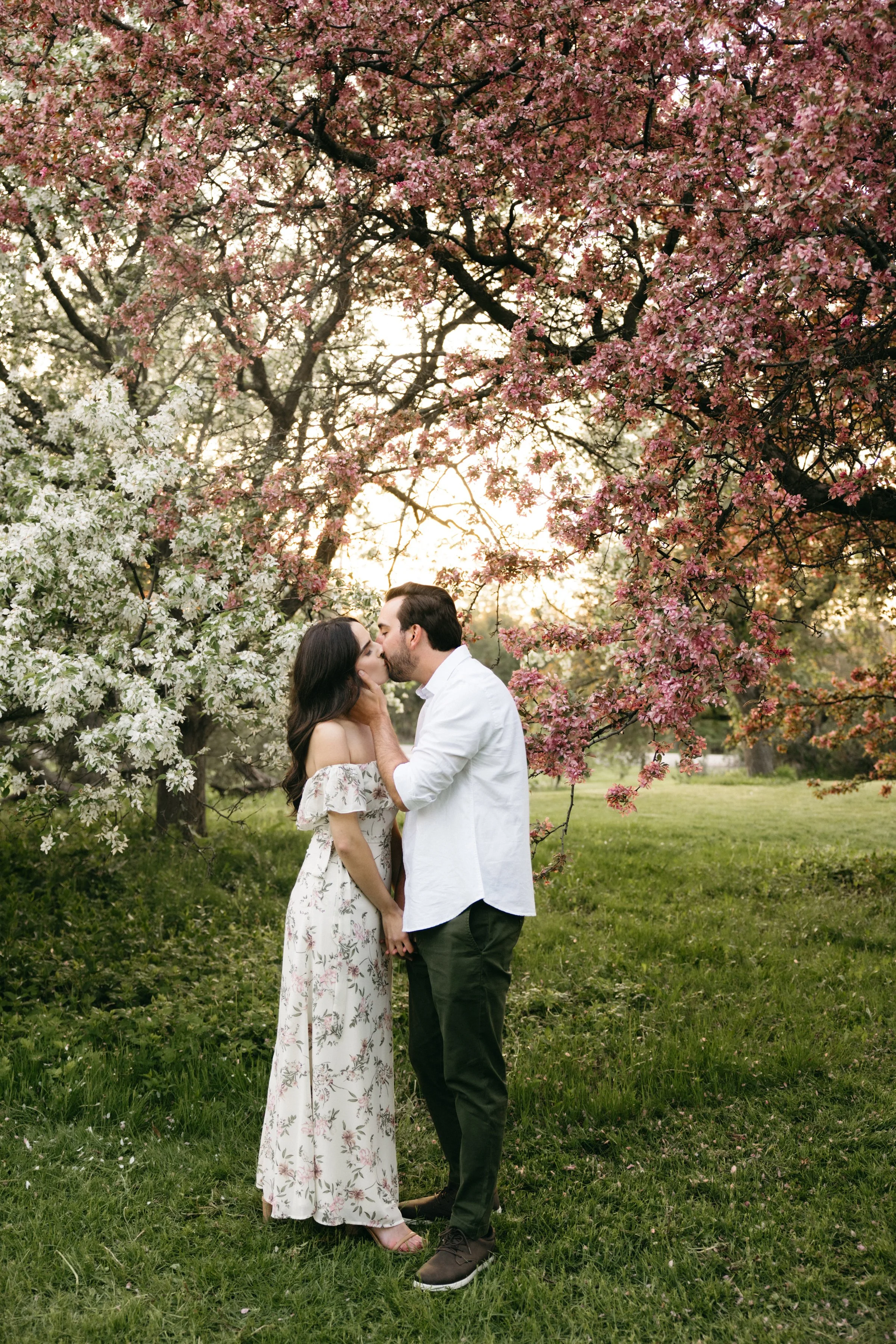ottawa-blossom-engagement-session-0068.jpg
