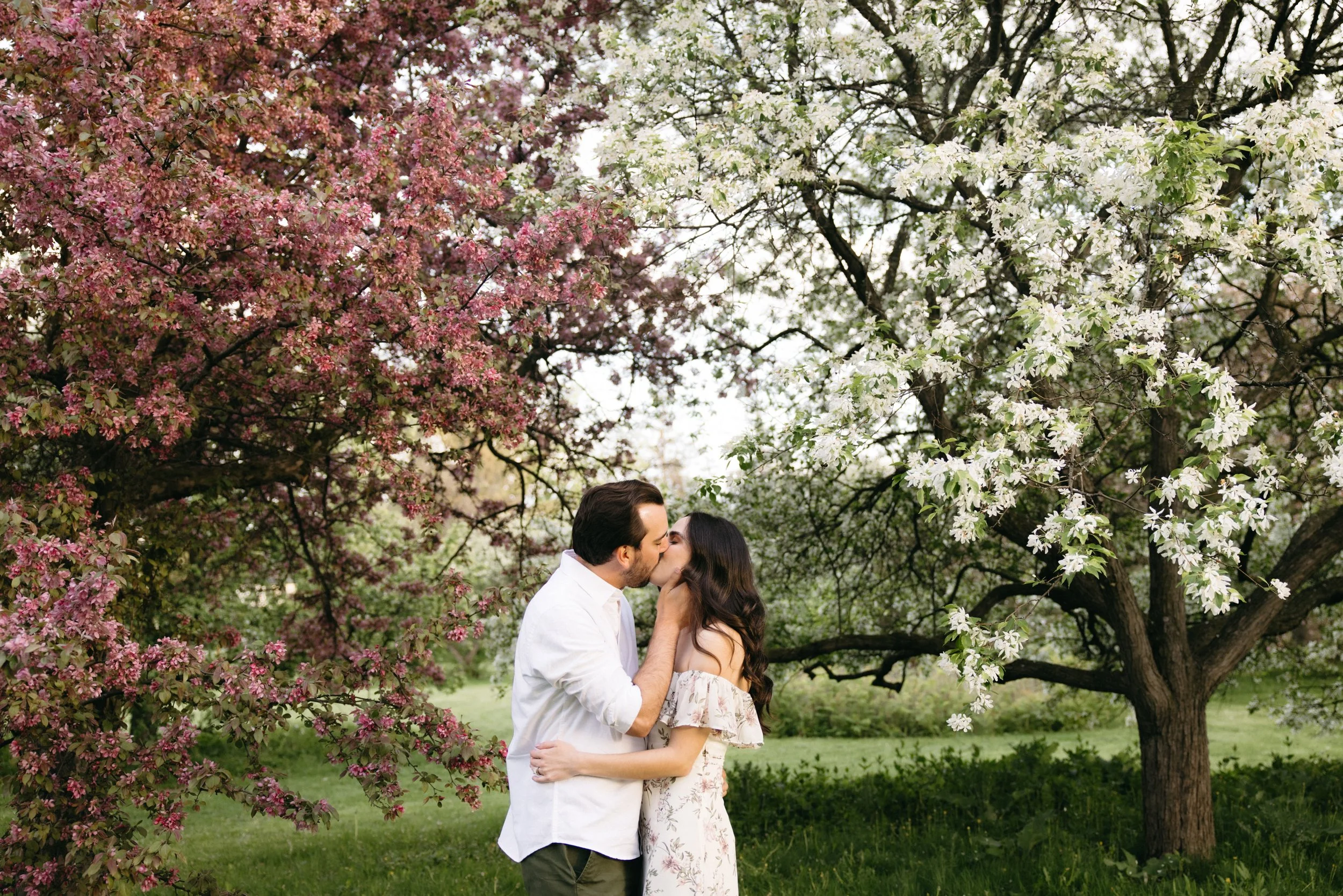 ottawa-blossom-engagement-session-0015.jpg
