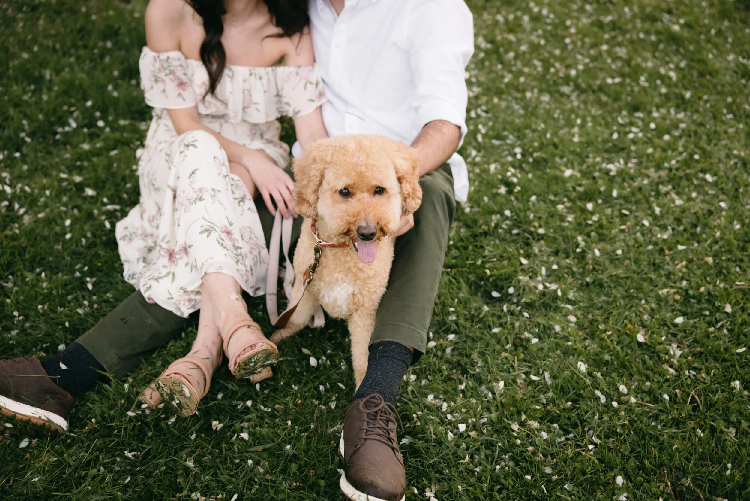 ottawa-blossom-engagement-session-0115.jpg