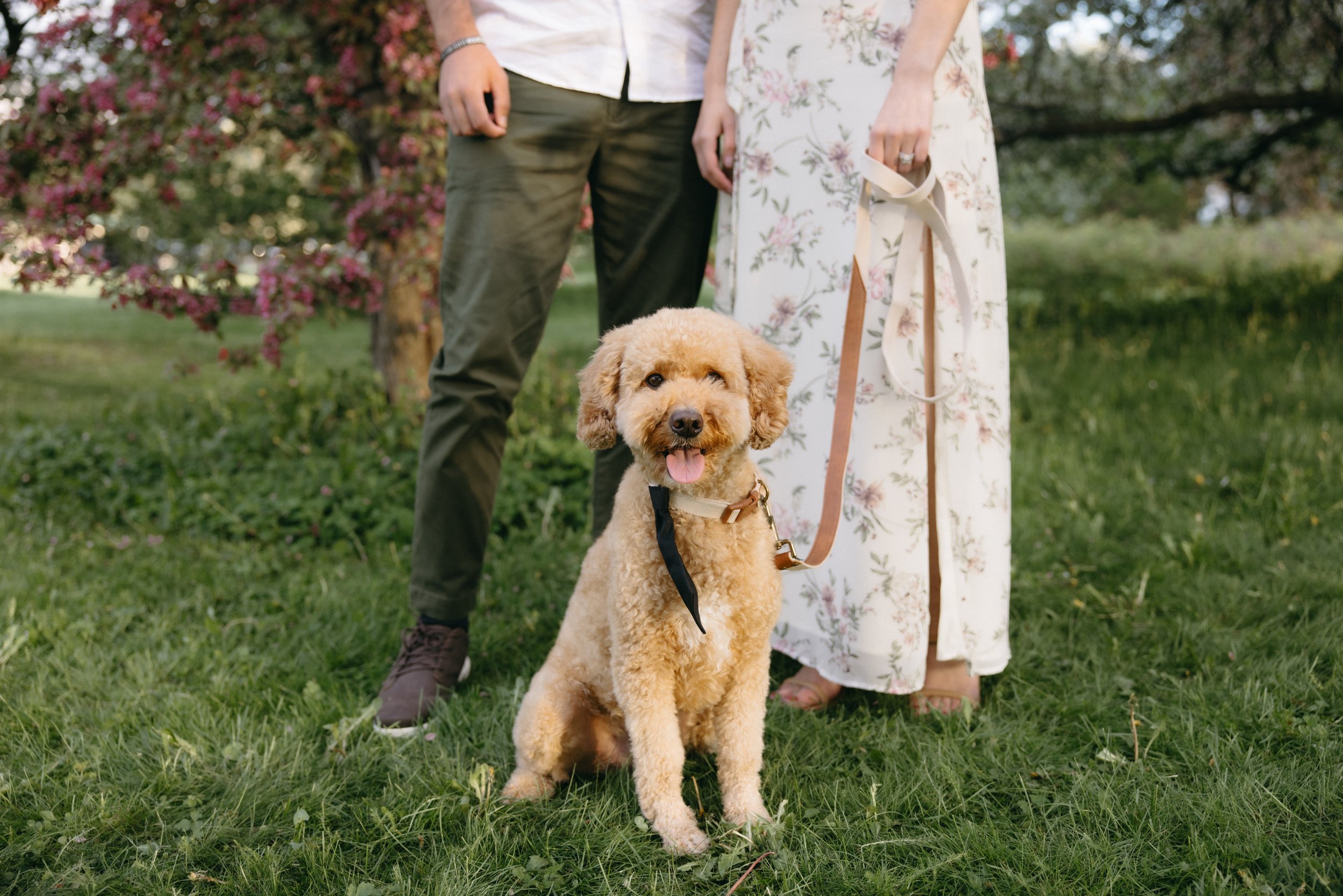 ottawa-blossom-engagement-session-0008.jpg