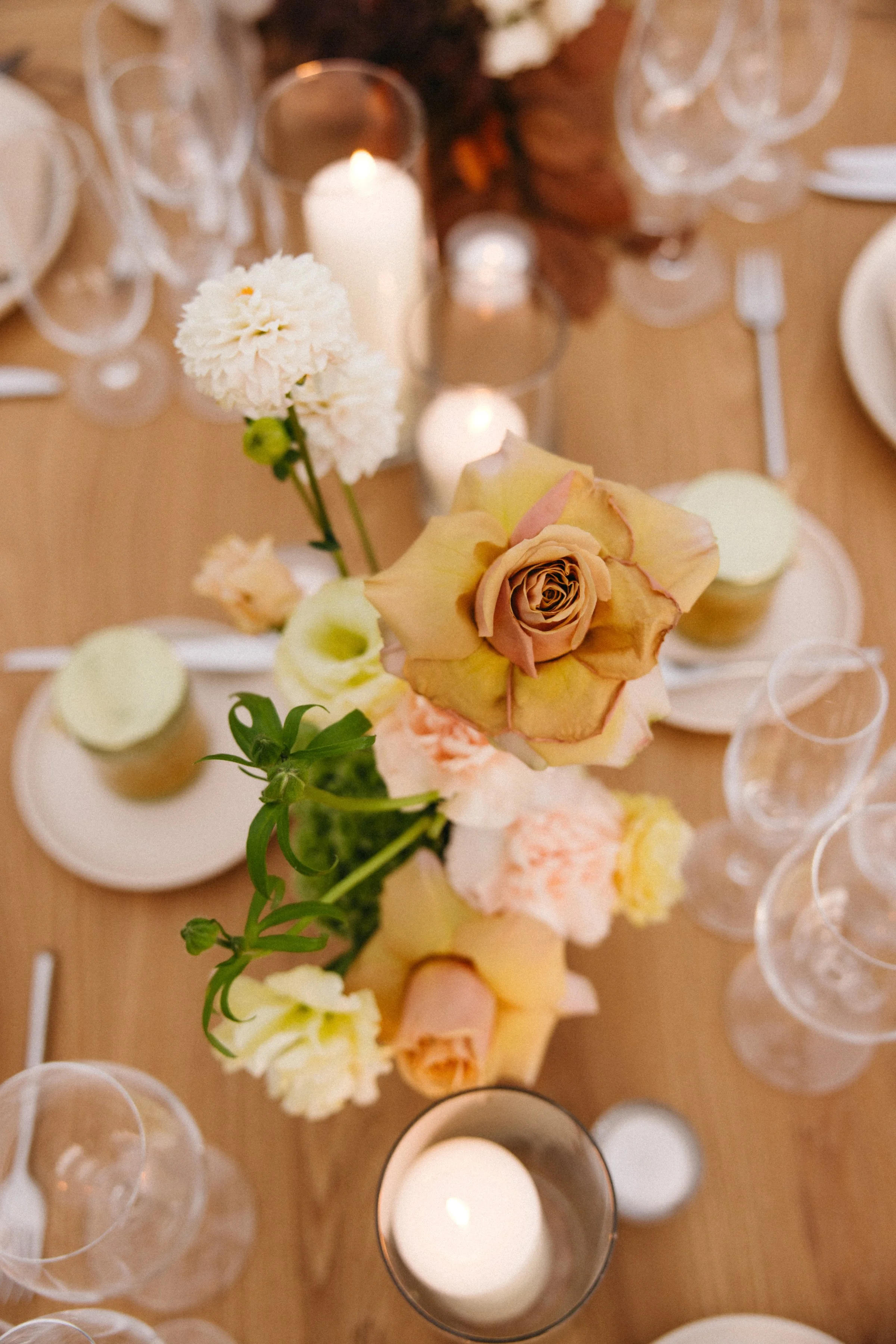ottawa-backyard-wedding-0143.jpg