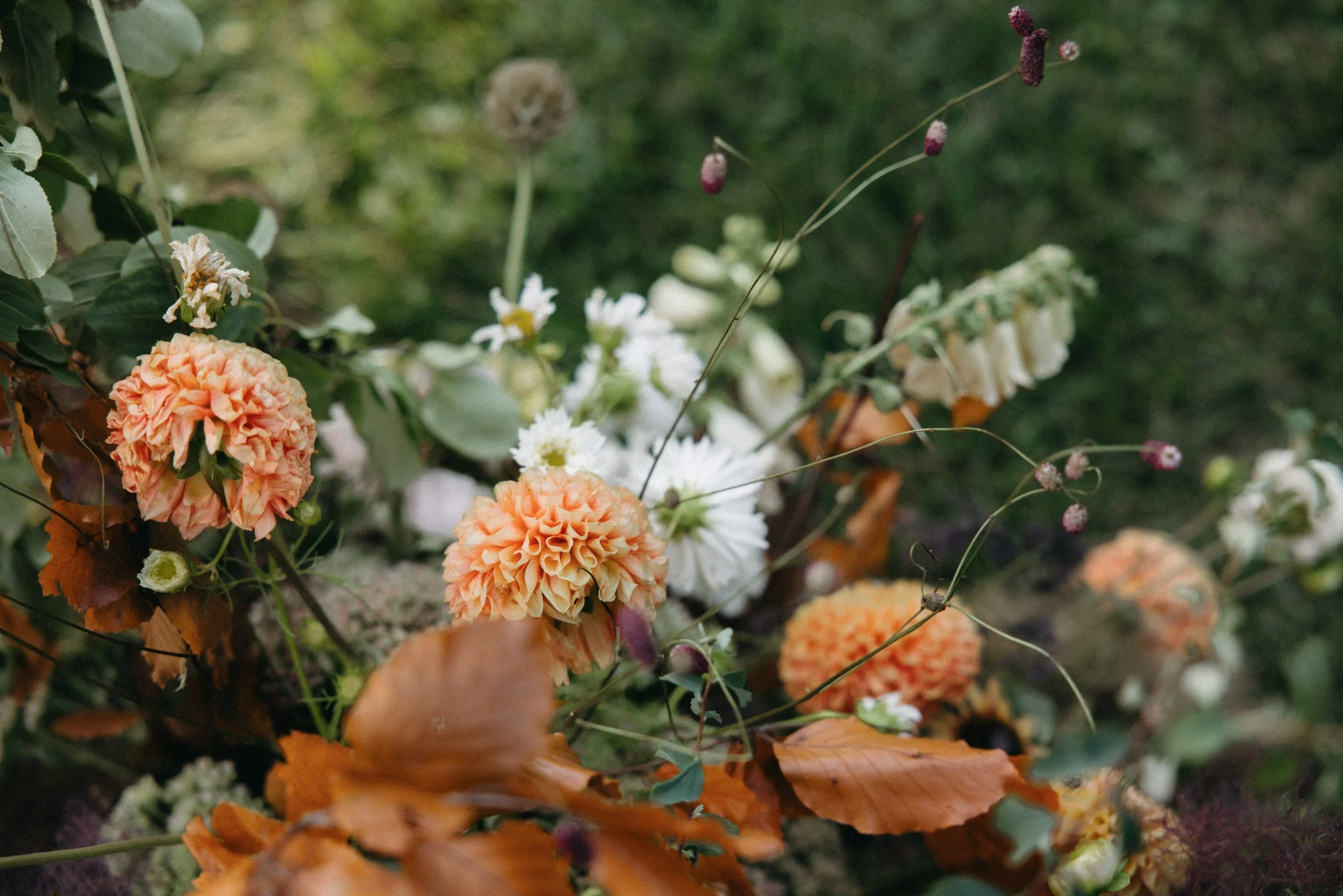 ottawa-backyard-wedding-0070.jpg