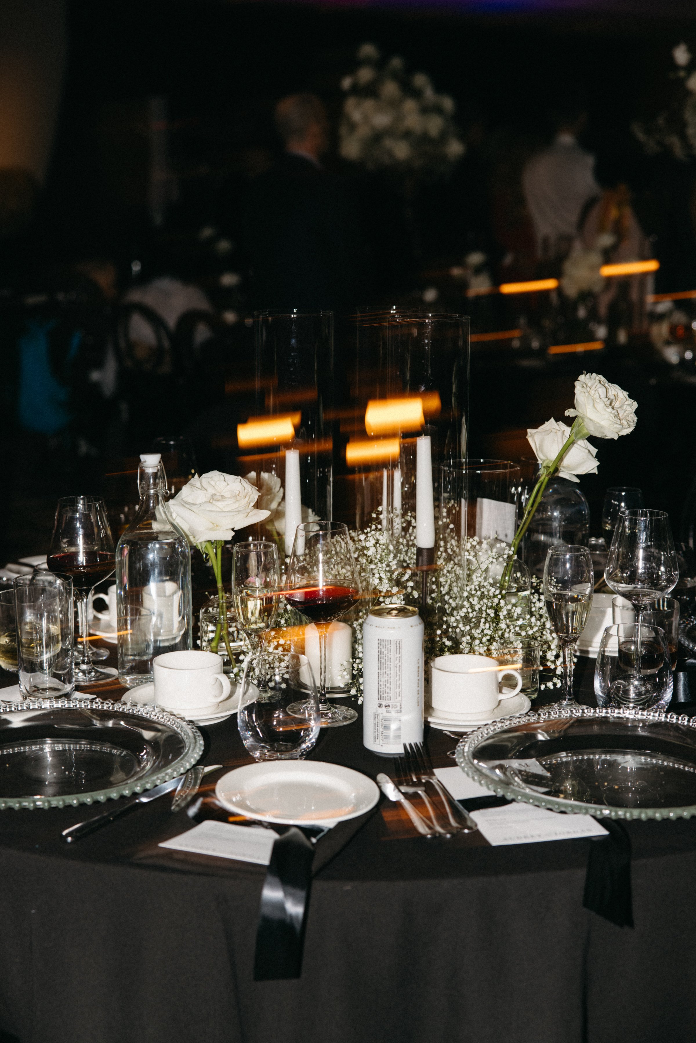 NAC-wedding-ottawa-0197.jpg