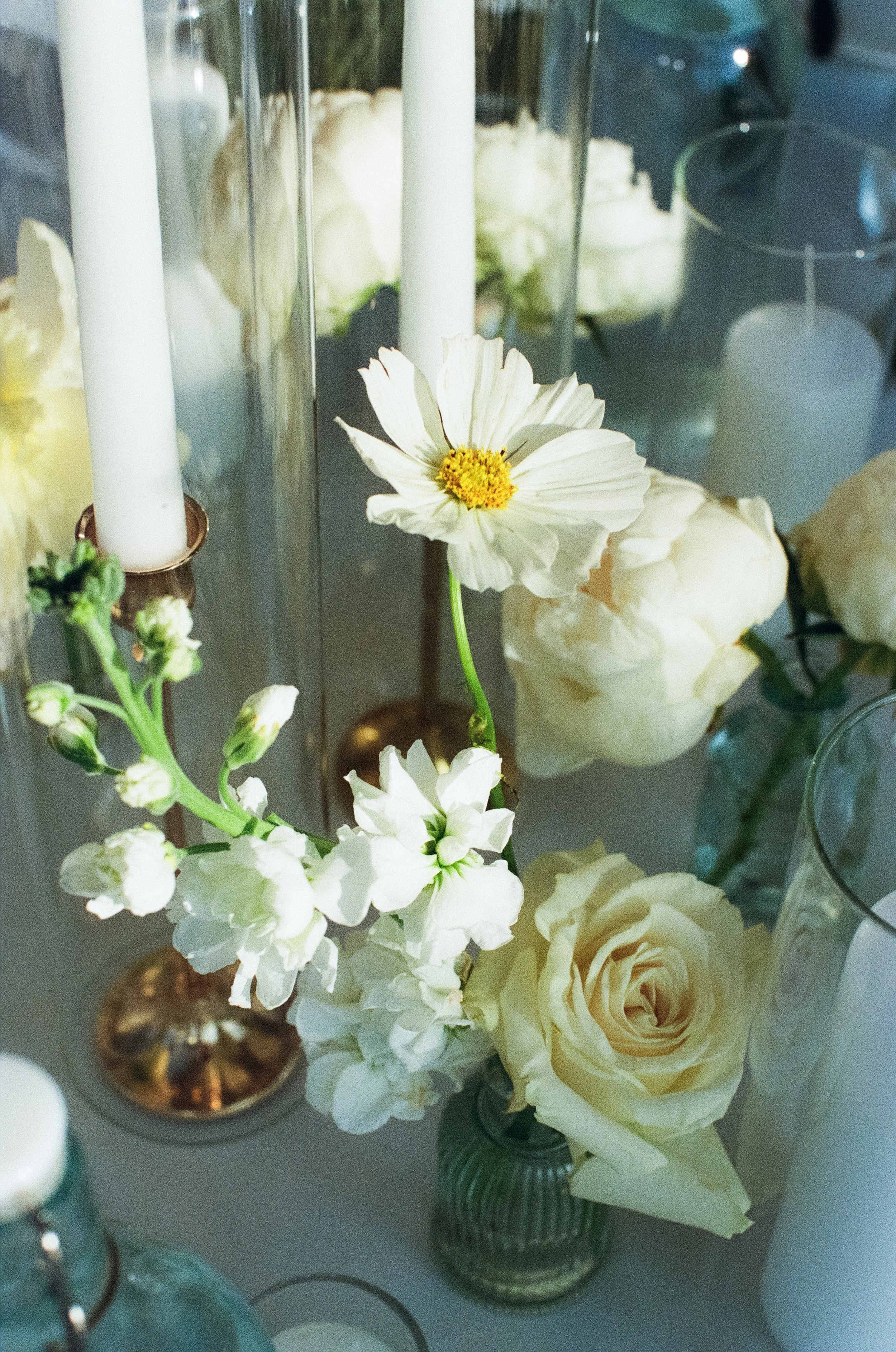 GraceAndGold-YR-WED-1121.jpg