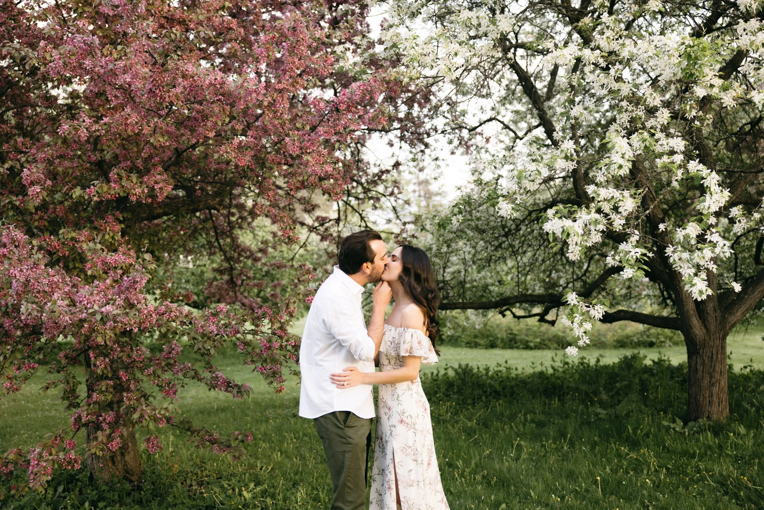 ottawa-blossom-engagement-session-0018.jpg