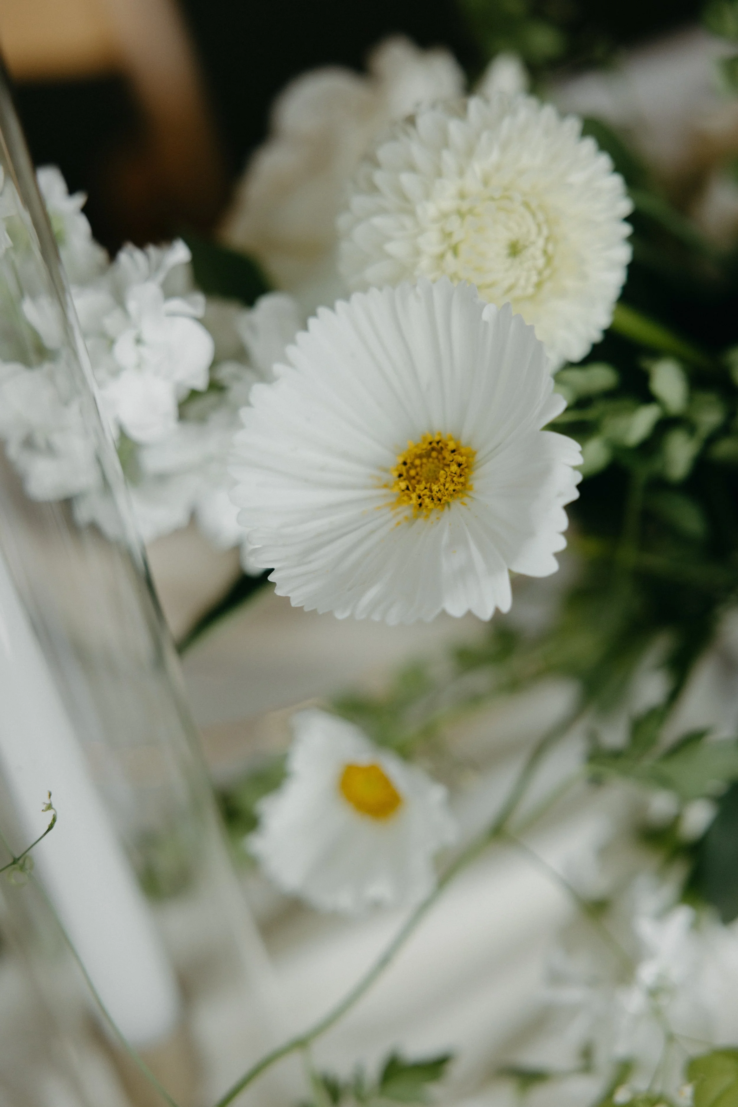 GraceAndGold-VJ-WED-1060.jpg