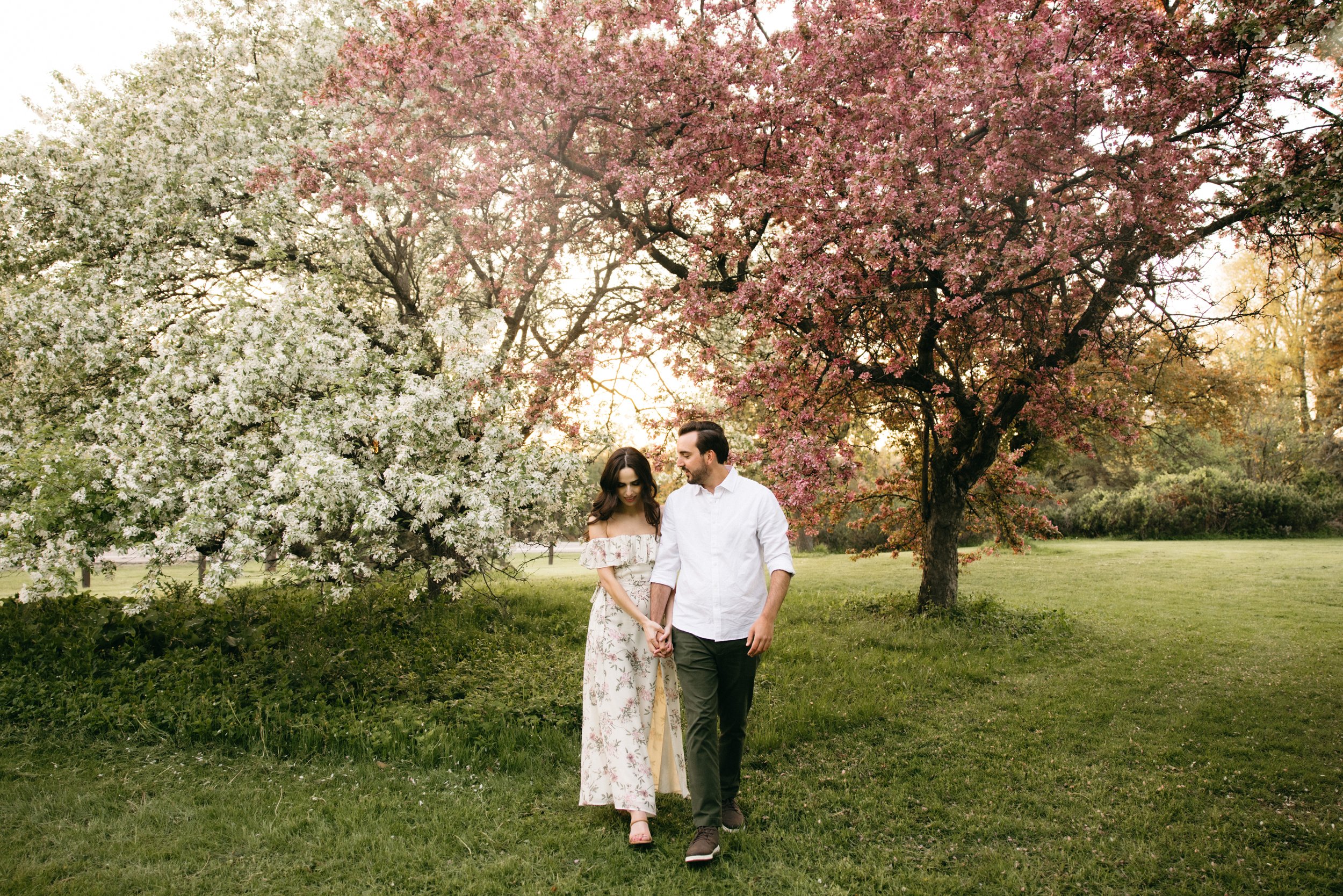 ottawa-blossom-engagement-session-0072.jpg