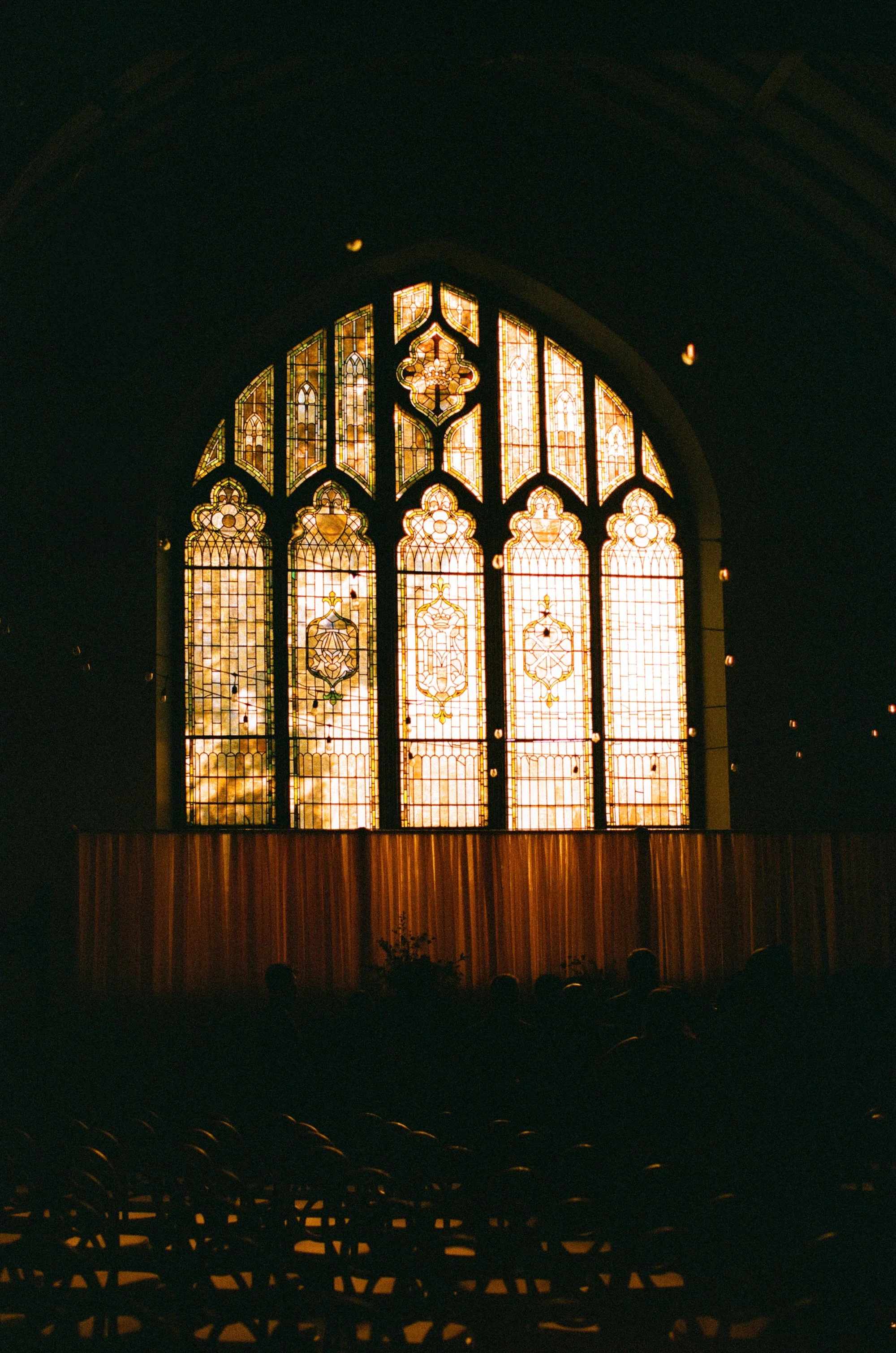 Ottawa-film-photographer-tracy-grace-0063.jpg