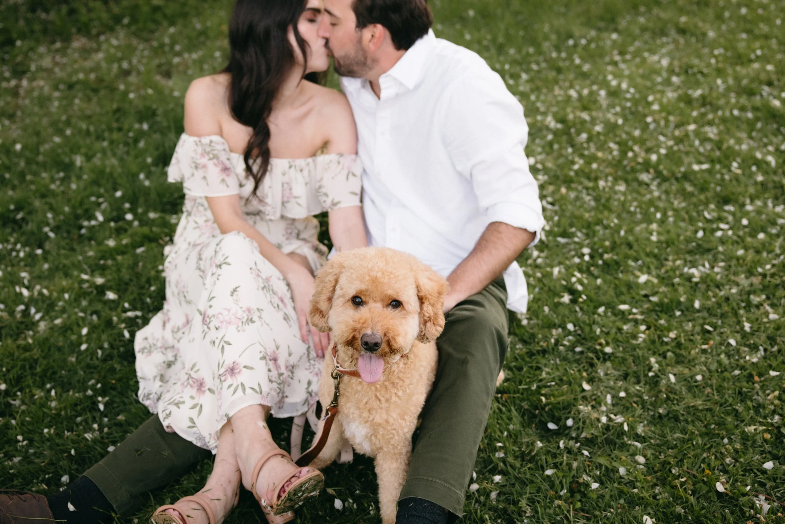 ottawa-blossom-engagement-session-0117.jpg