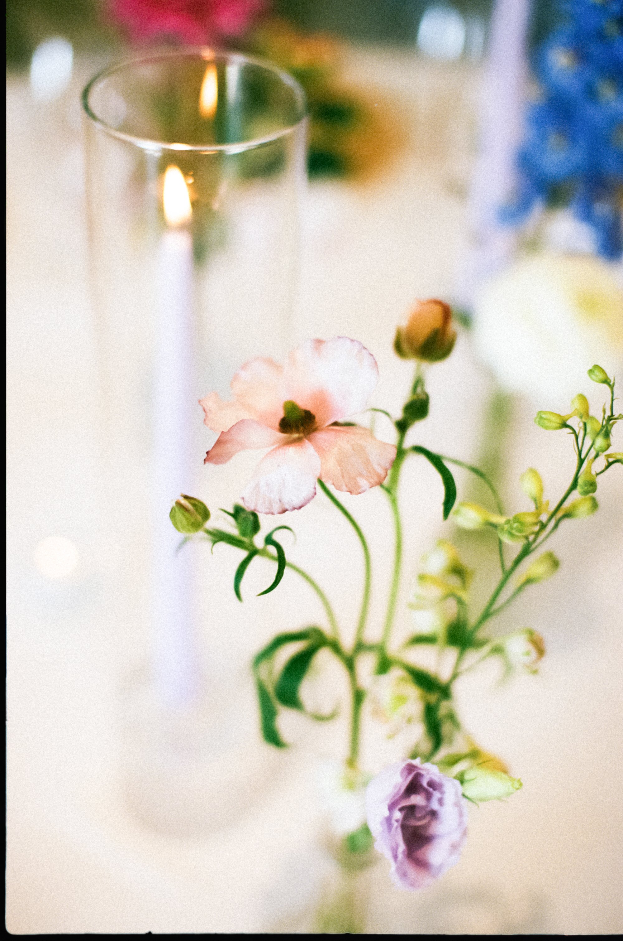 Ottawa-film-photographer-tracy-grace-0098.jpg